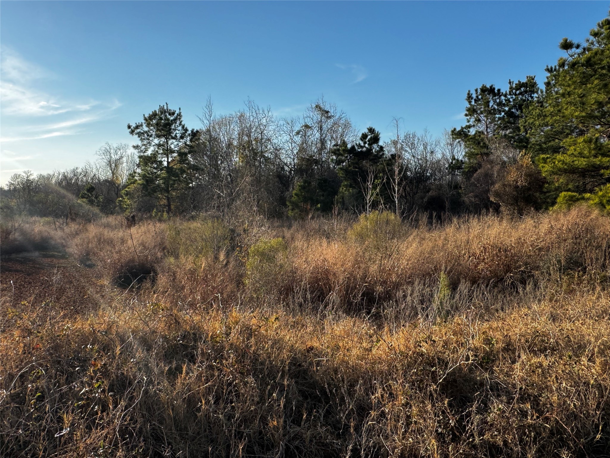 0 Moonshine Hill Road Property Photo 12