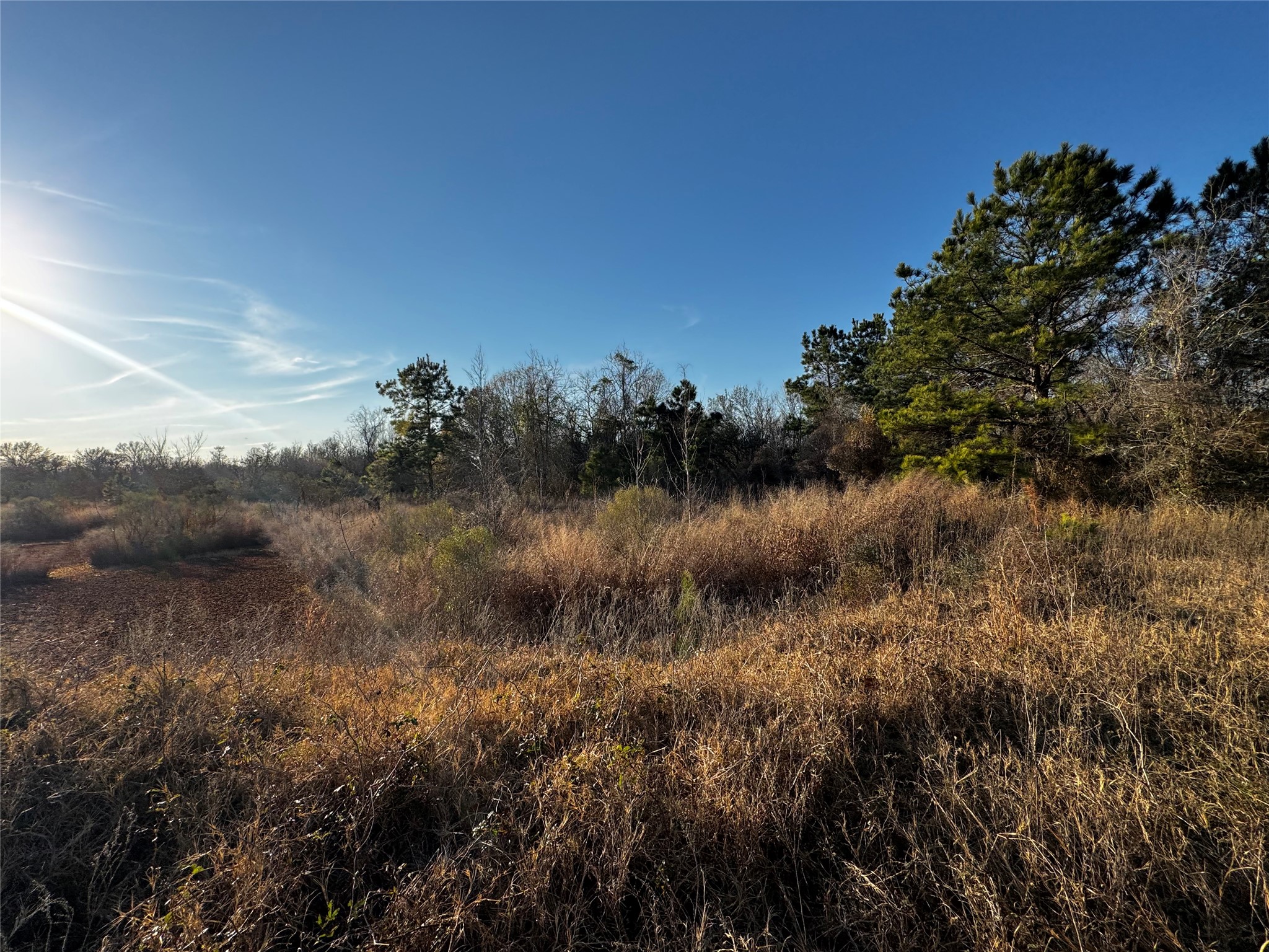 0 Moonshine Hill Road Property Photo 13