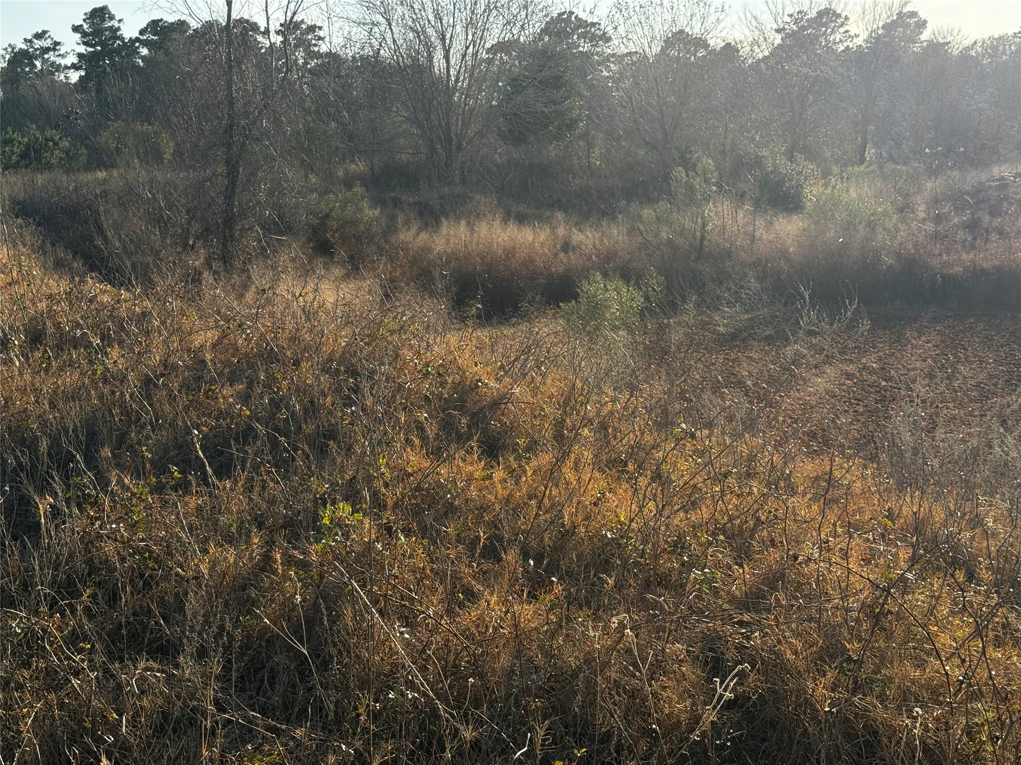 0 Moonshine Hill Road Property Photo 15