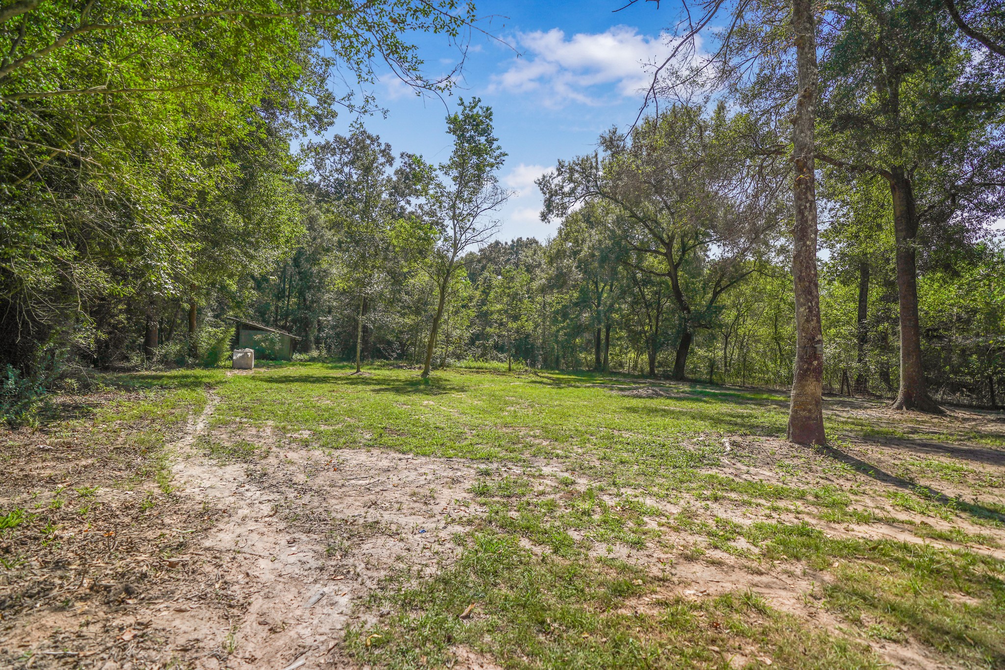 20218 Fm 2090 Road Property Photo 27