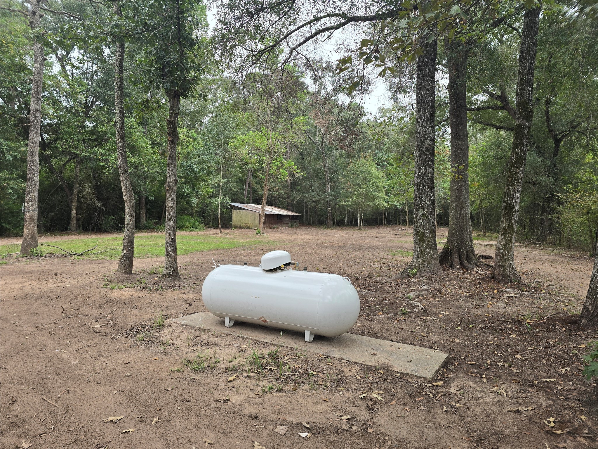 20218 Fm 2090 Road Property Photo 33