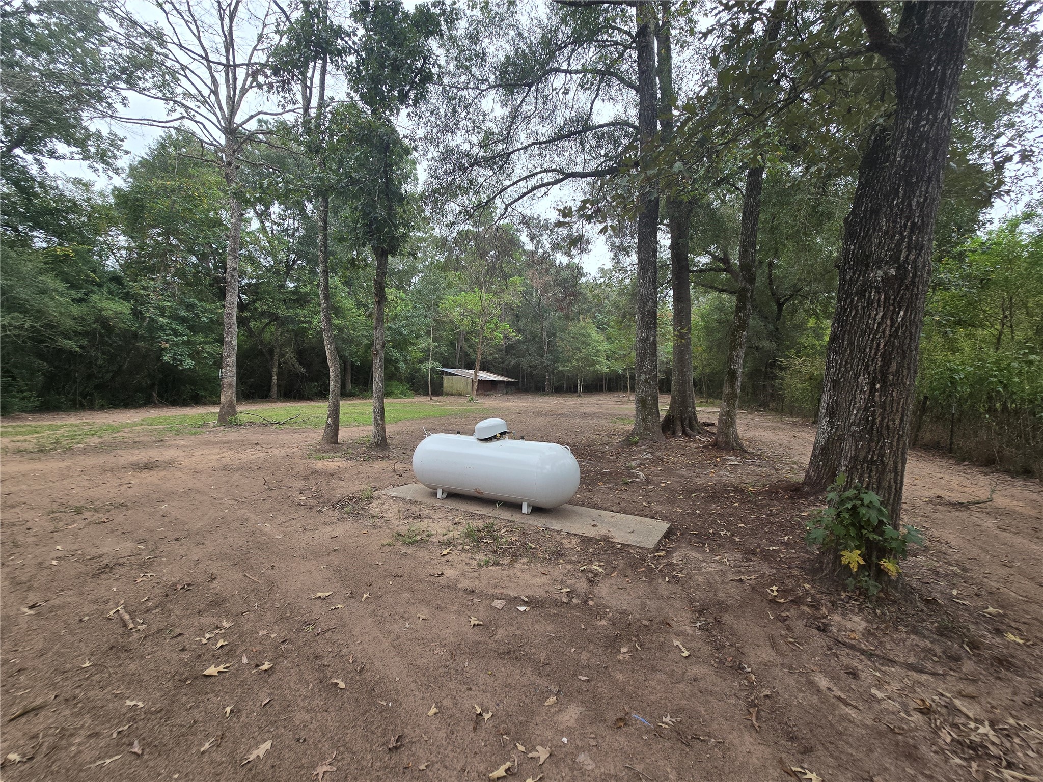 20218 Fm 2090 Road Property Photo 34