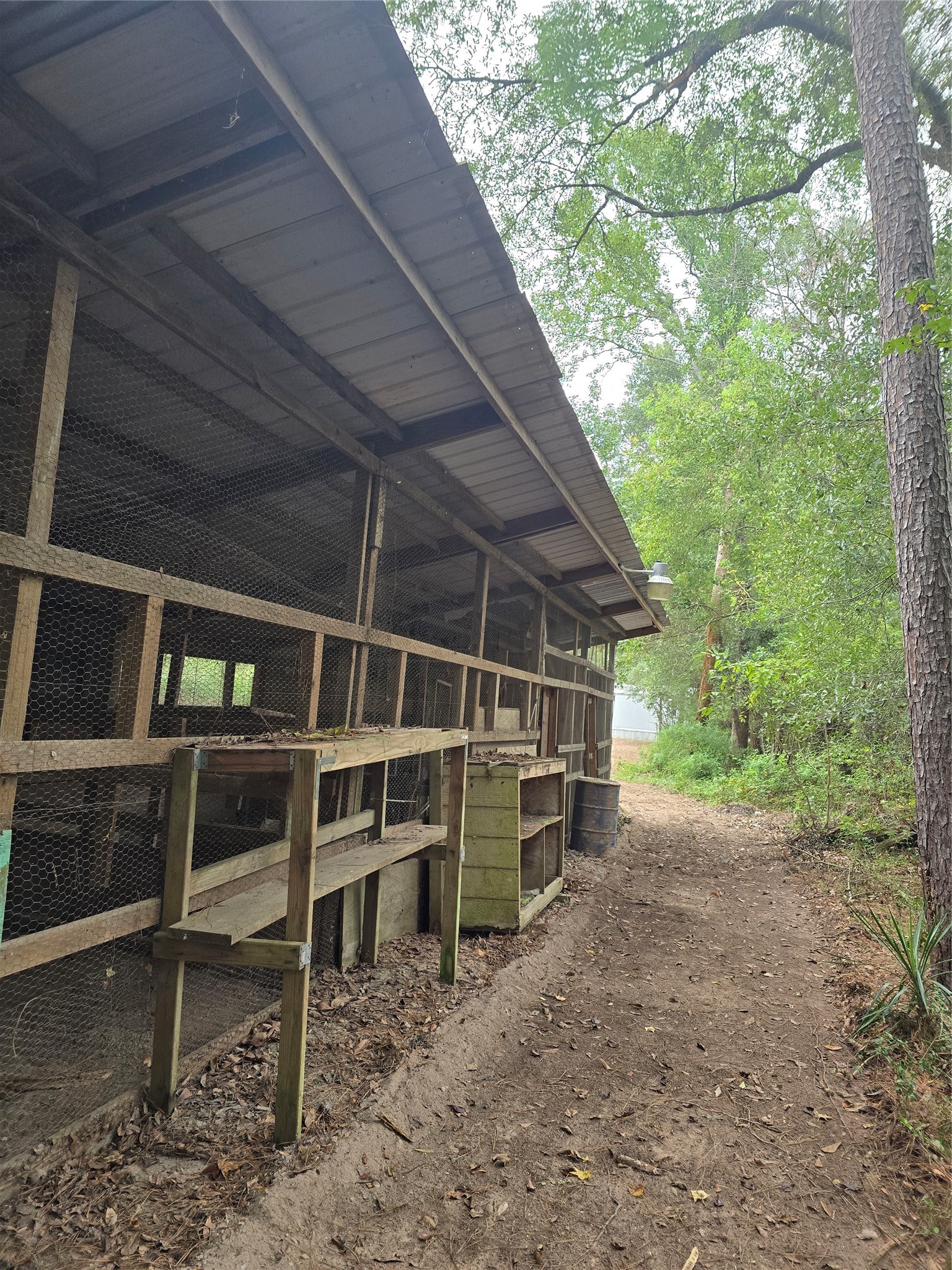 20218 Fm 2090 Road Property Photo 39