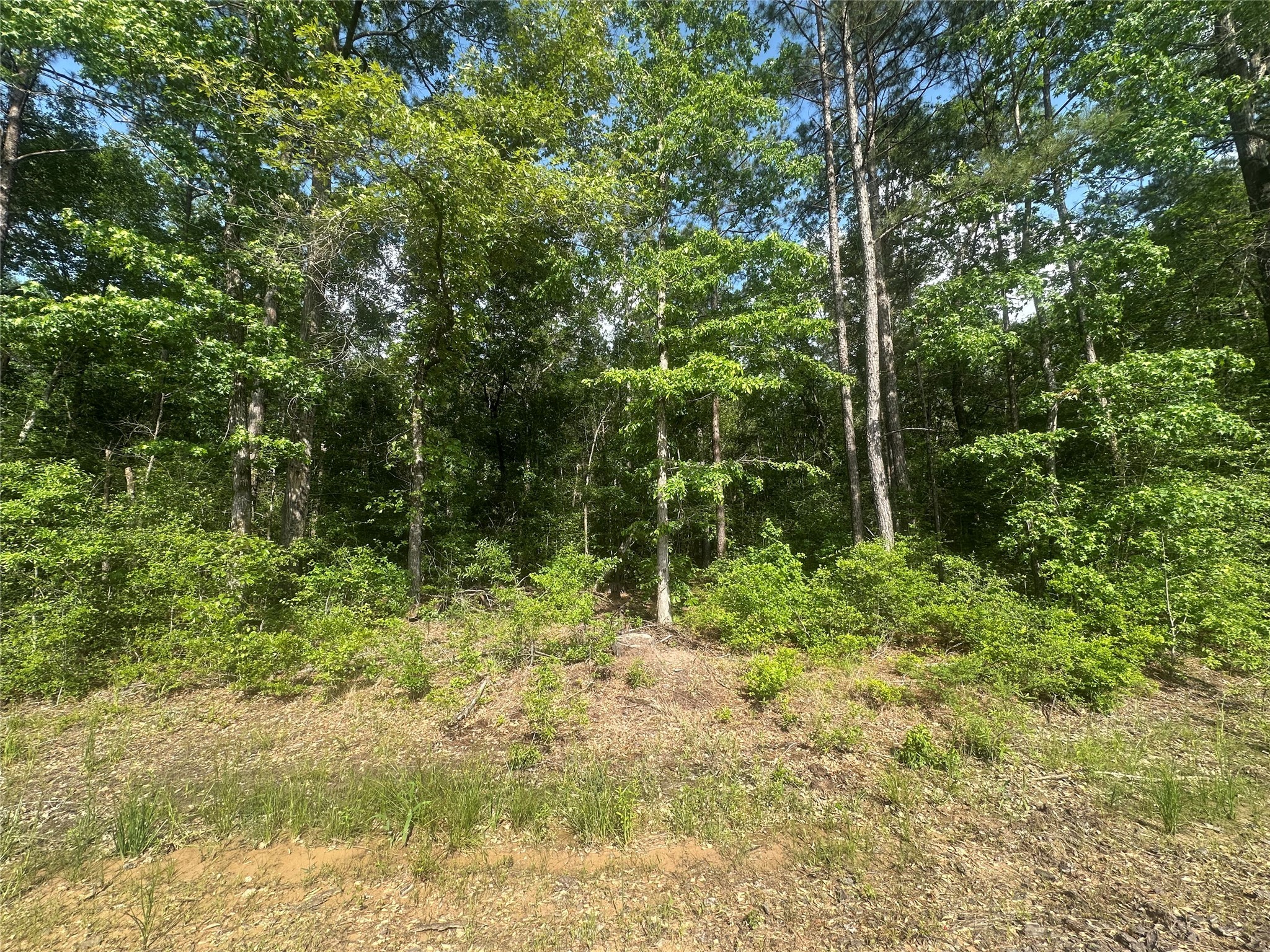 23809 Fm 2262- Property Photo 1