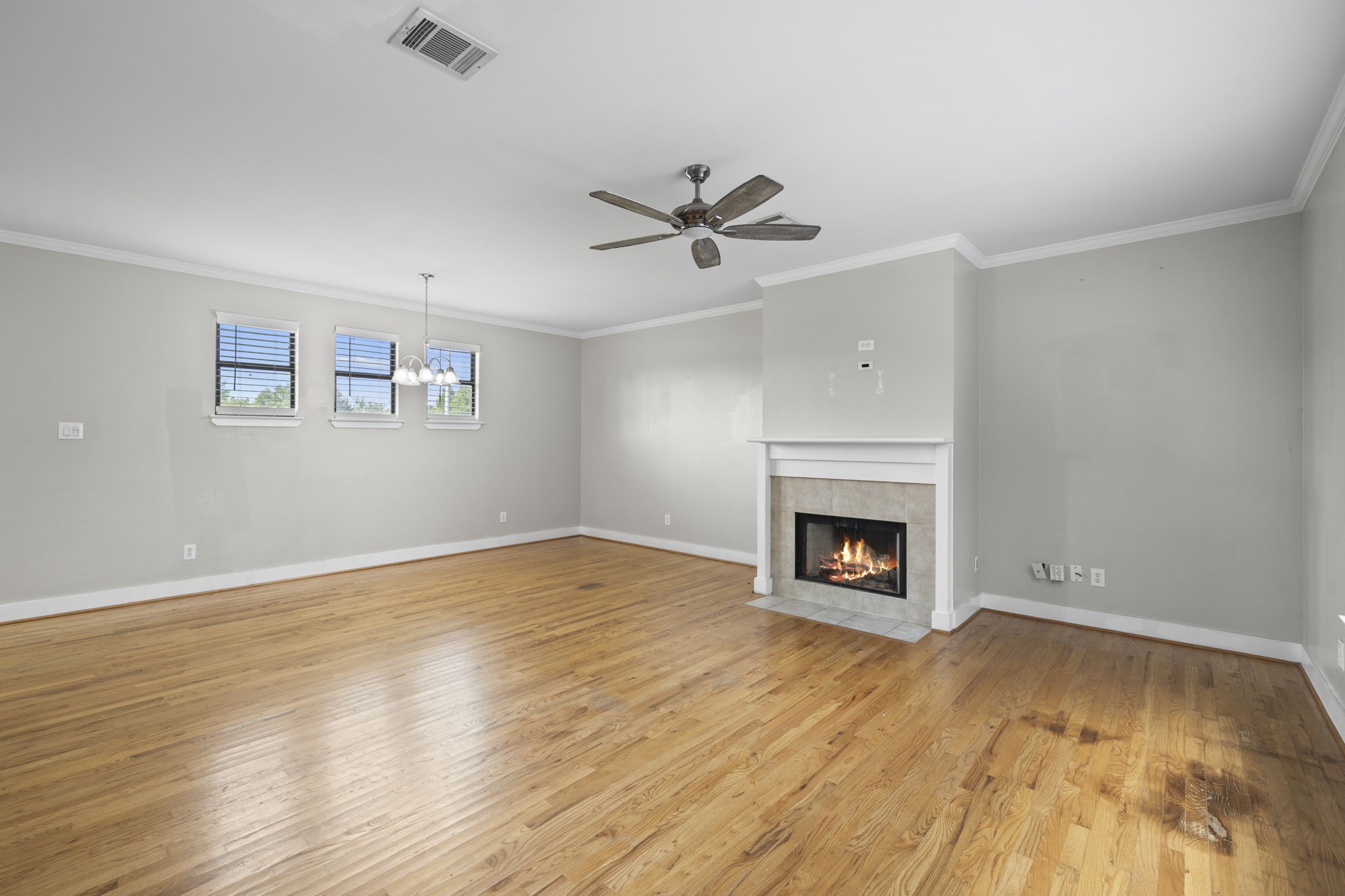 2154 Arabelle Street Property Photo 16