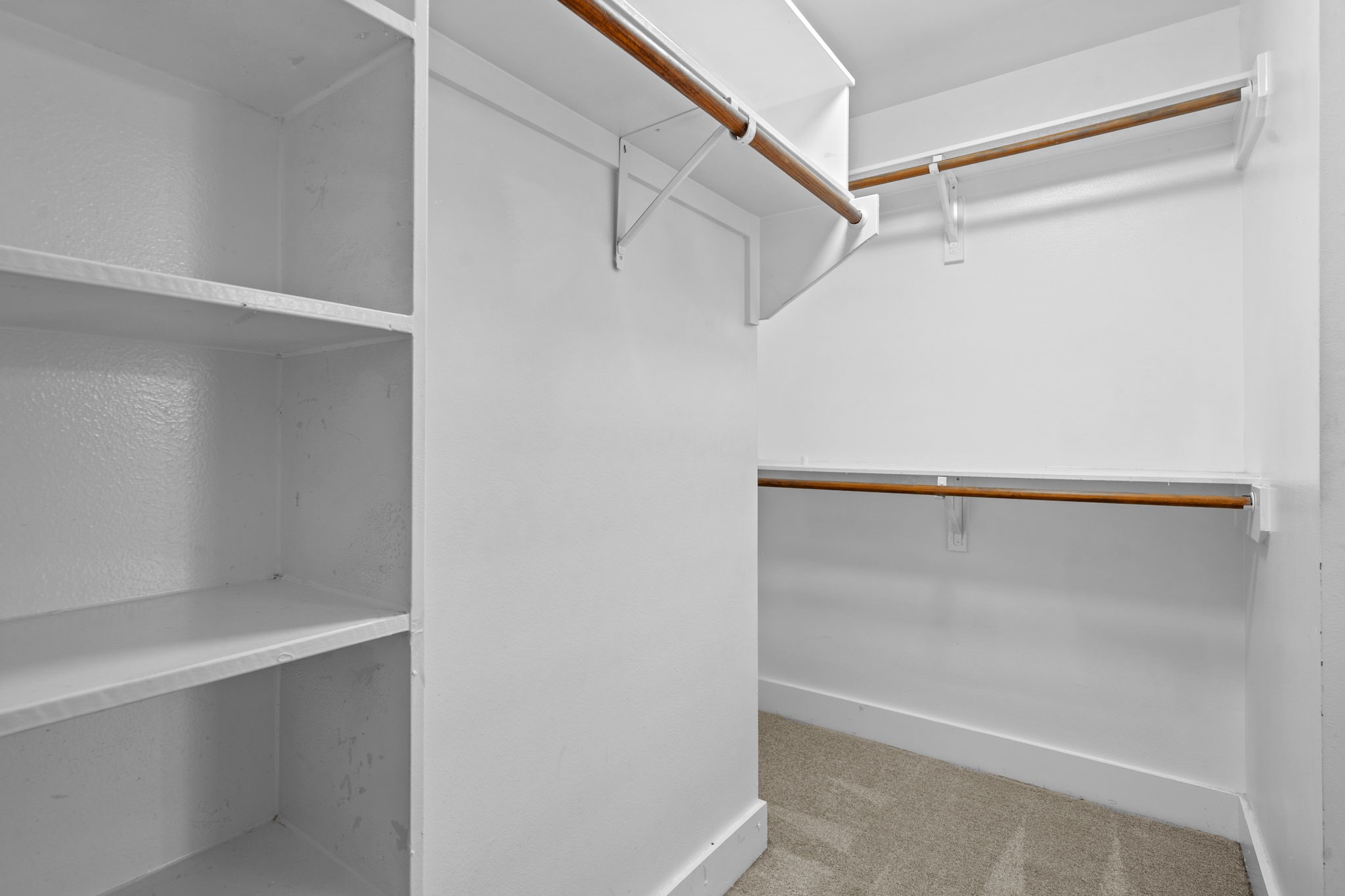 2154 Arabelle Street Property Photo 34