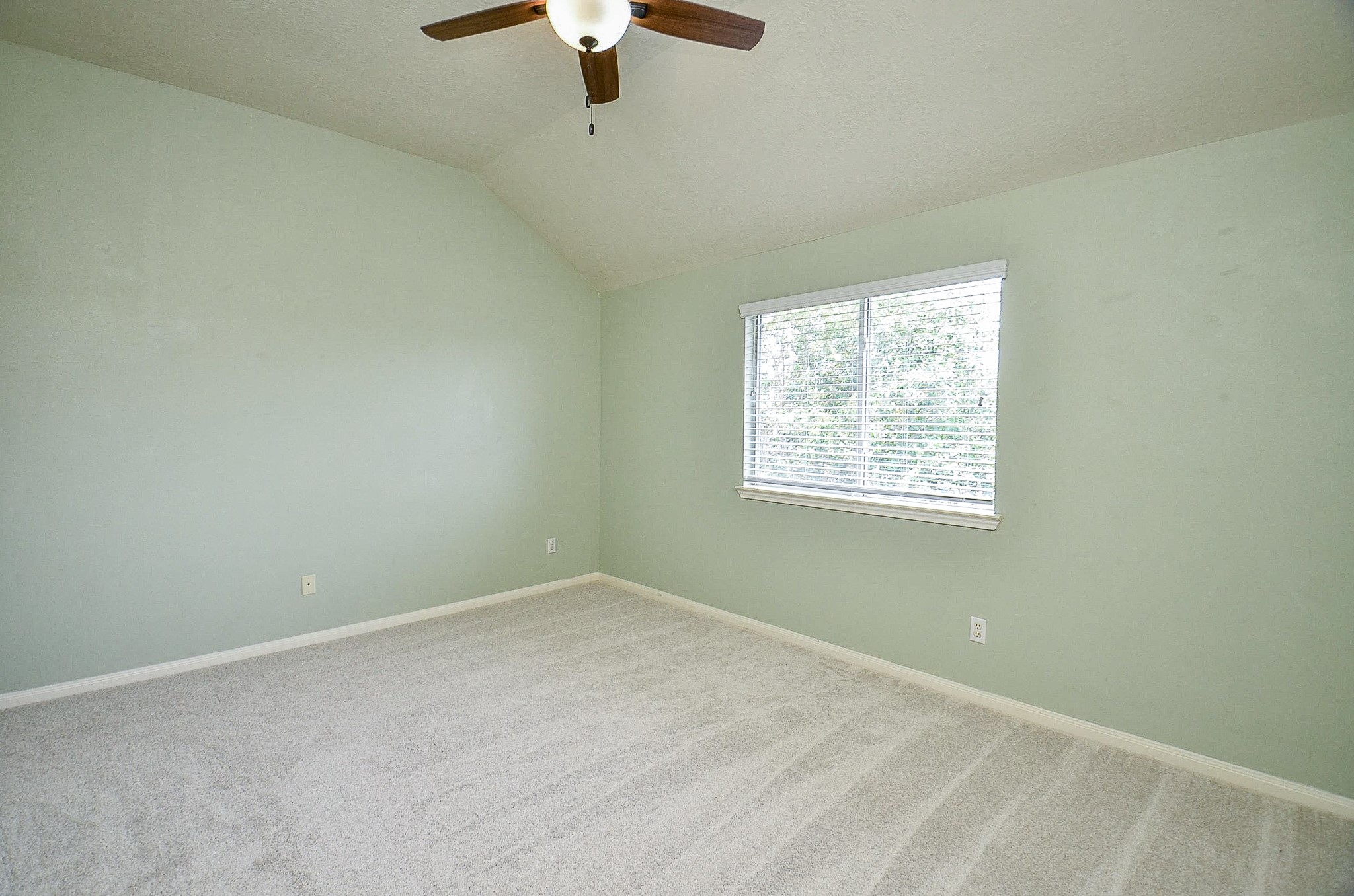 91 Rodeo Drive Property Photo 26
