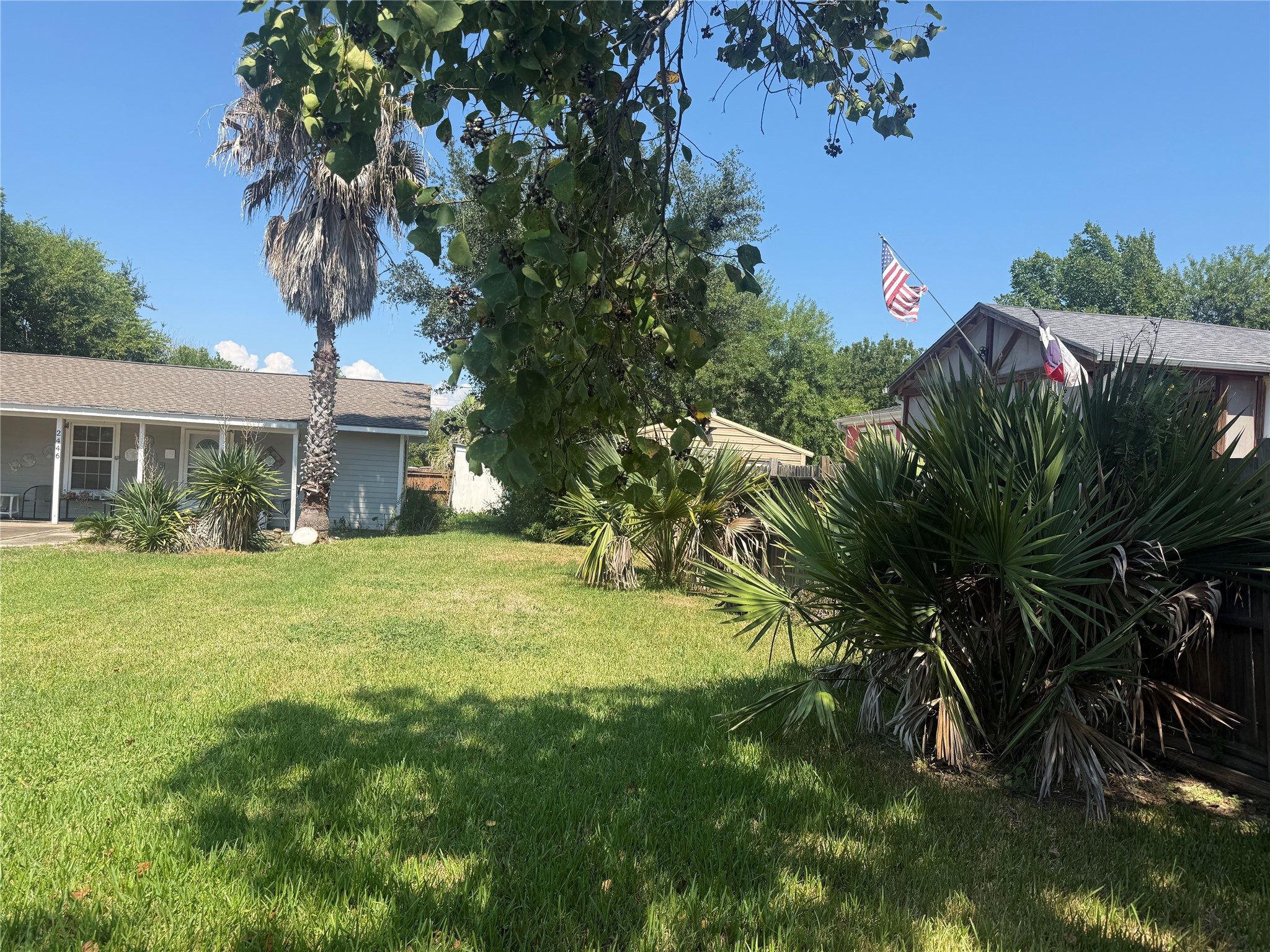 2446 Rue De Lafitte Drive Property Photo 18