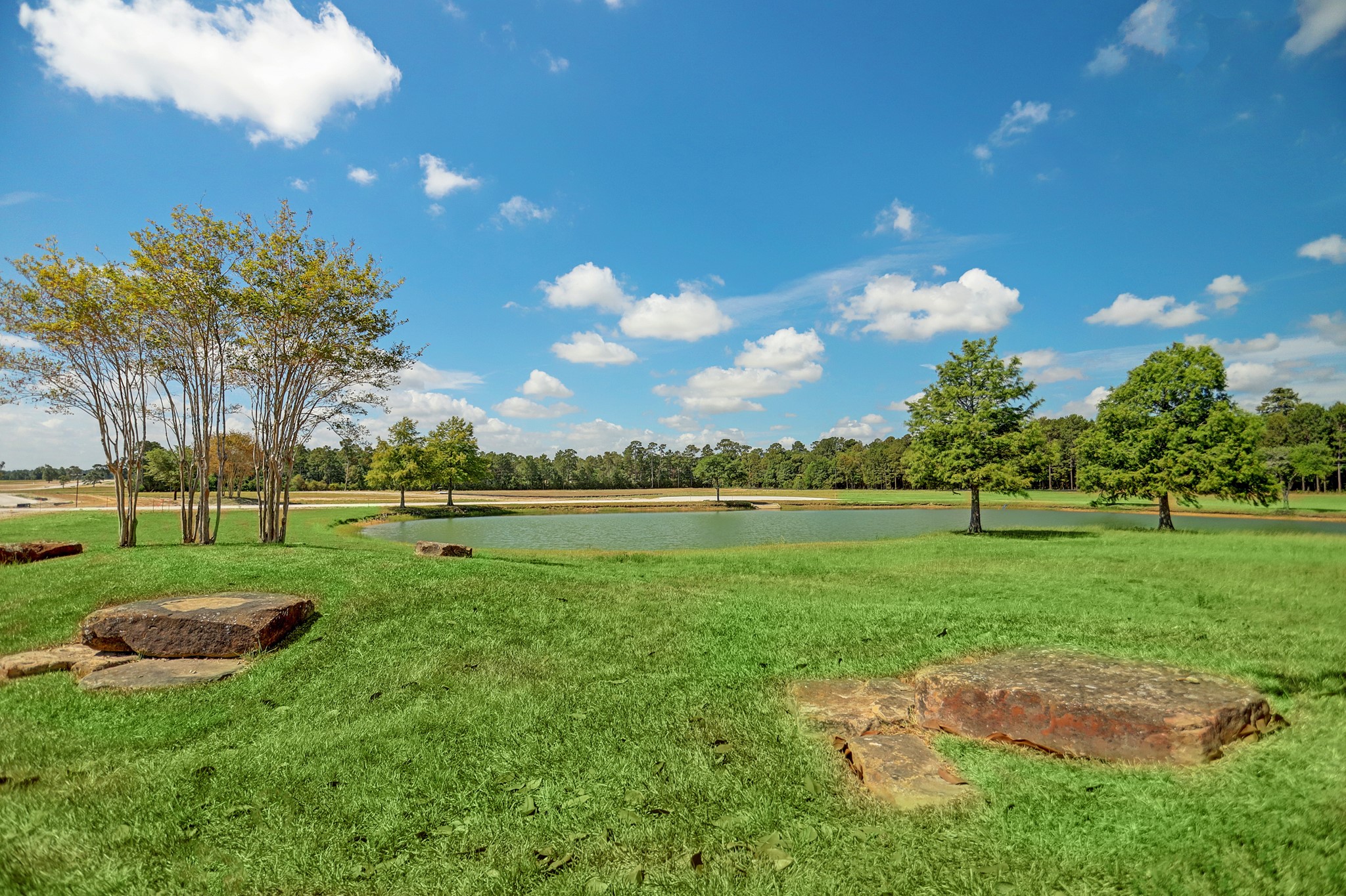 2307 Iris Cove Court Property Photo 5