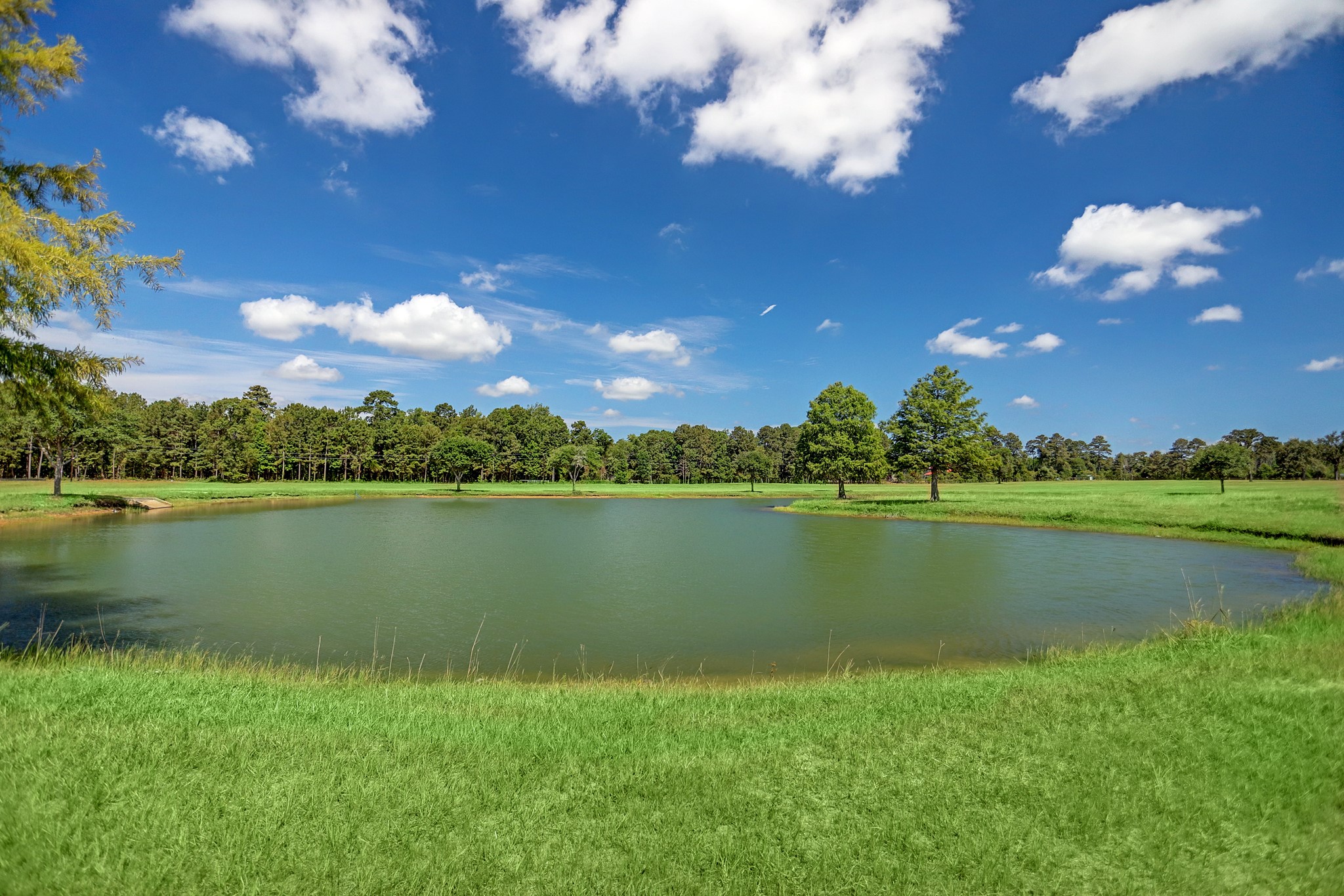 2307 Iris Cove Court Property Photo 9