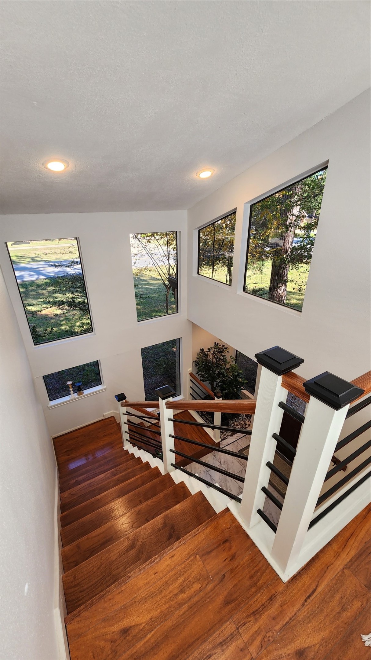 3211 Meadowlark Lane Property Photo 21