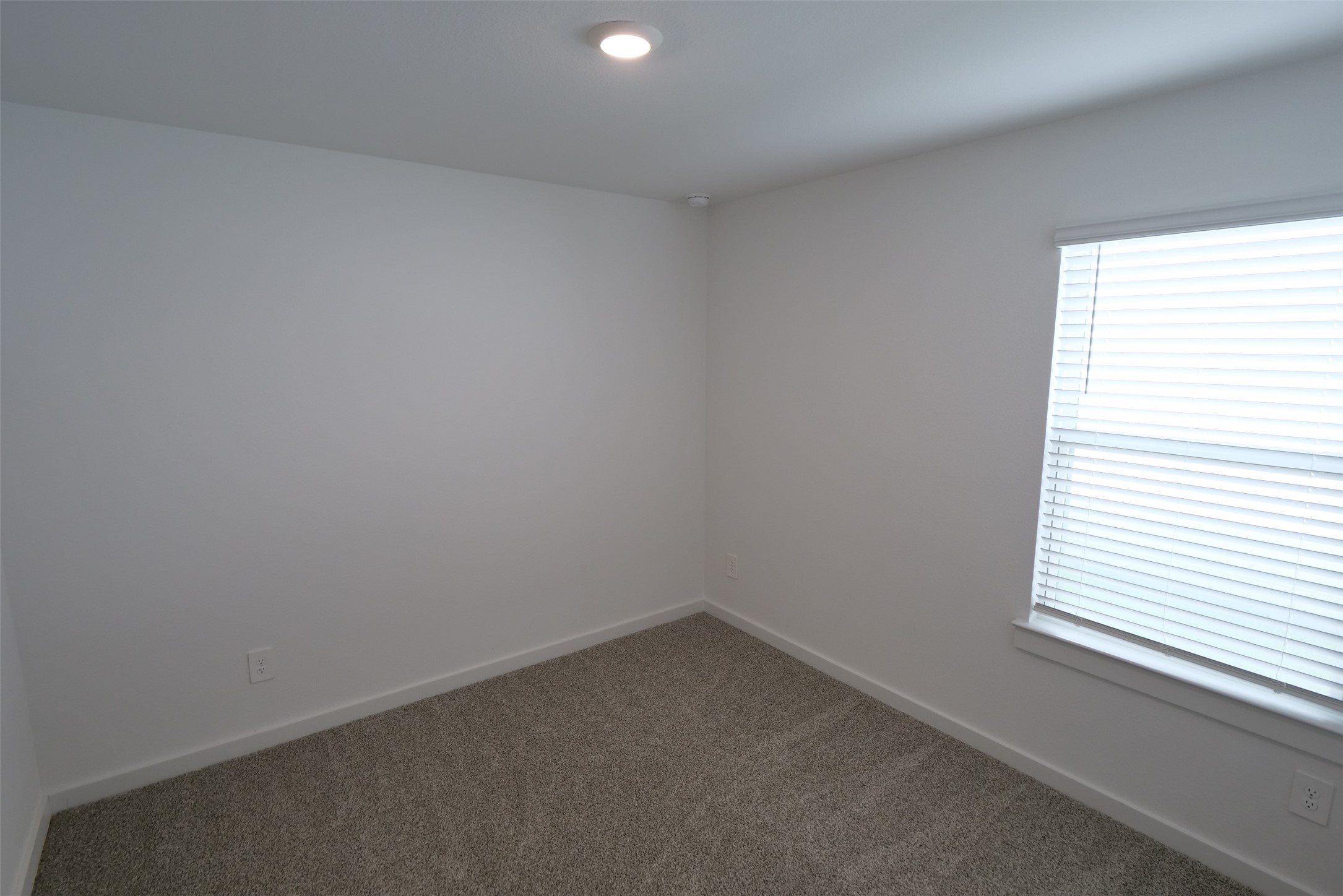 1303 Lucciola Lane Property Photo 8