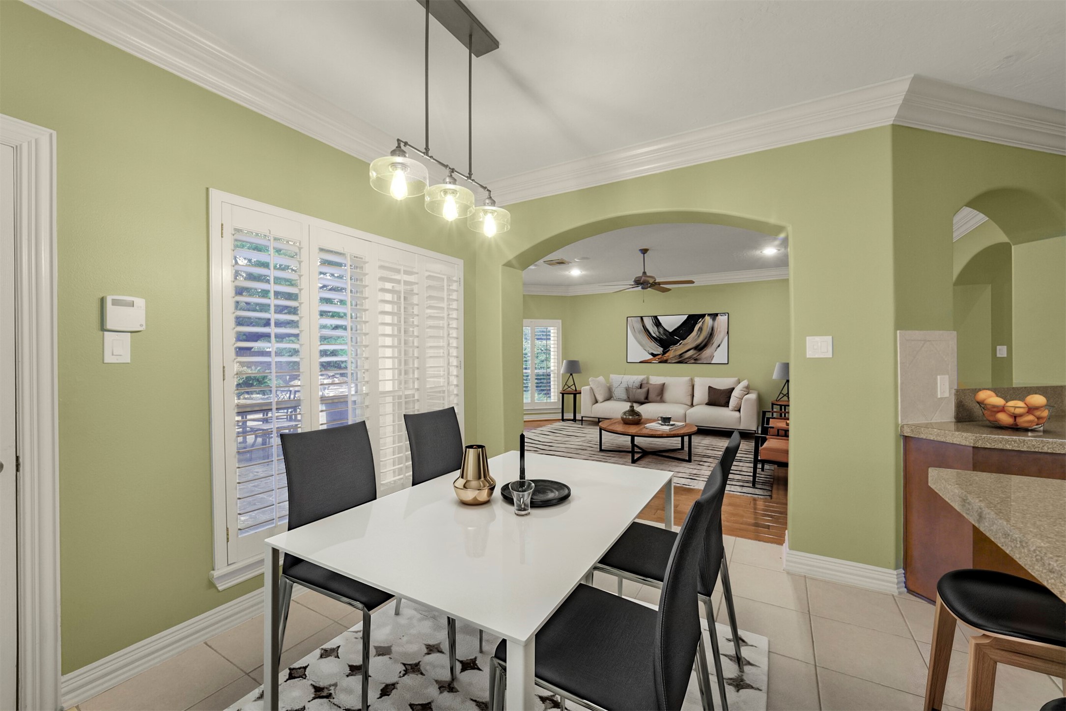 1523 Ashbury Park Drive Property Photo 16