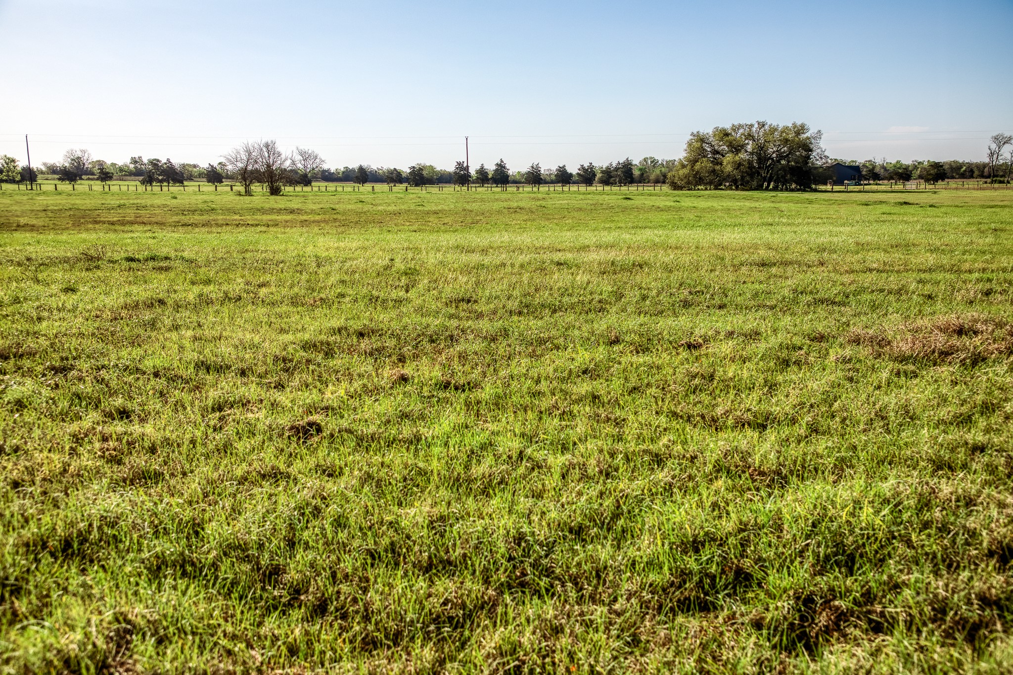 Tracts 10&11 Fieldcrest Ln Property Photo 5
