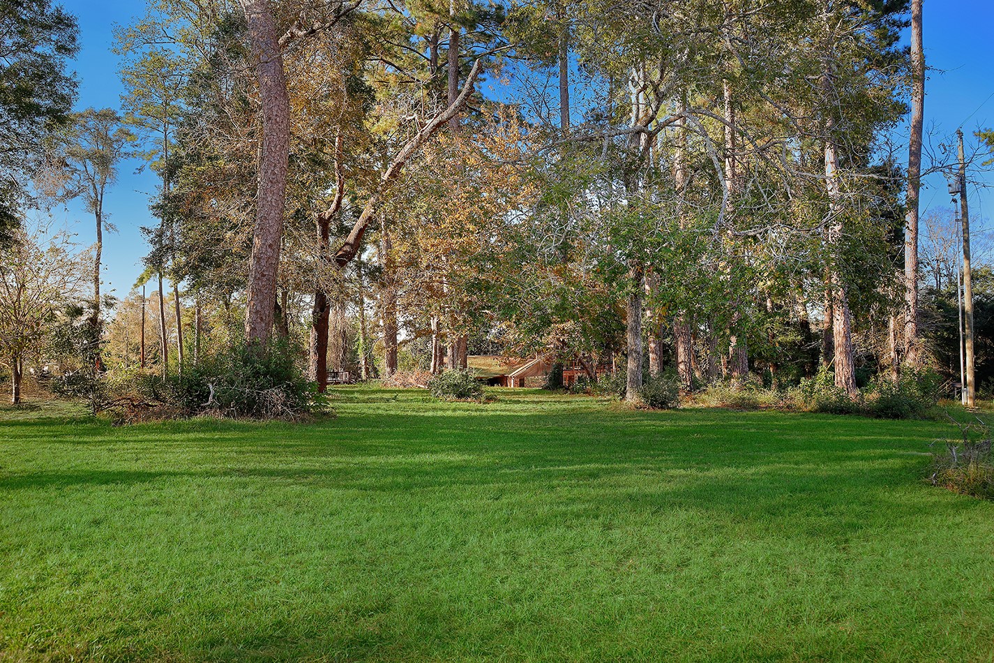 143 Fernsprings Circle Property Photo 25