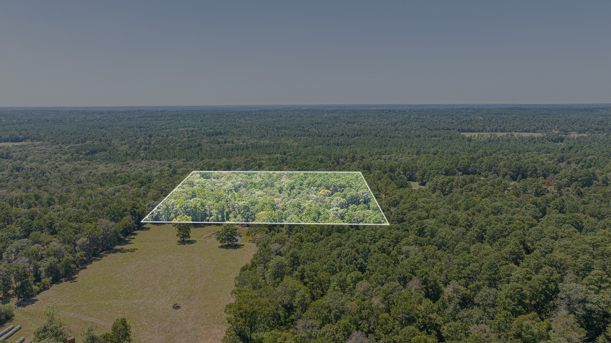 1400 Hill Road Property Photo 4