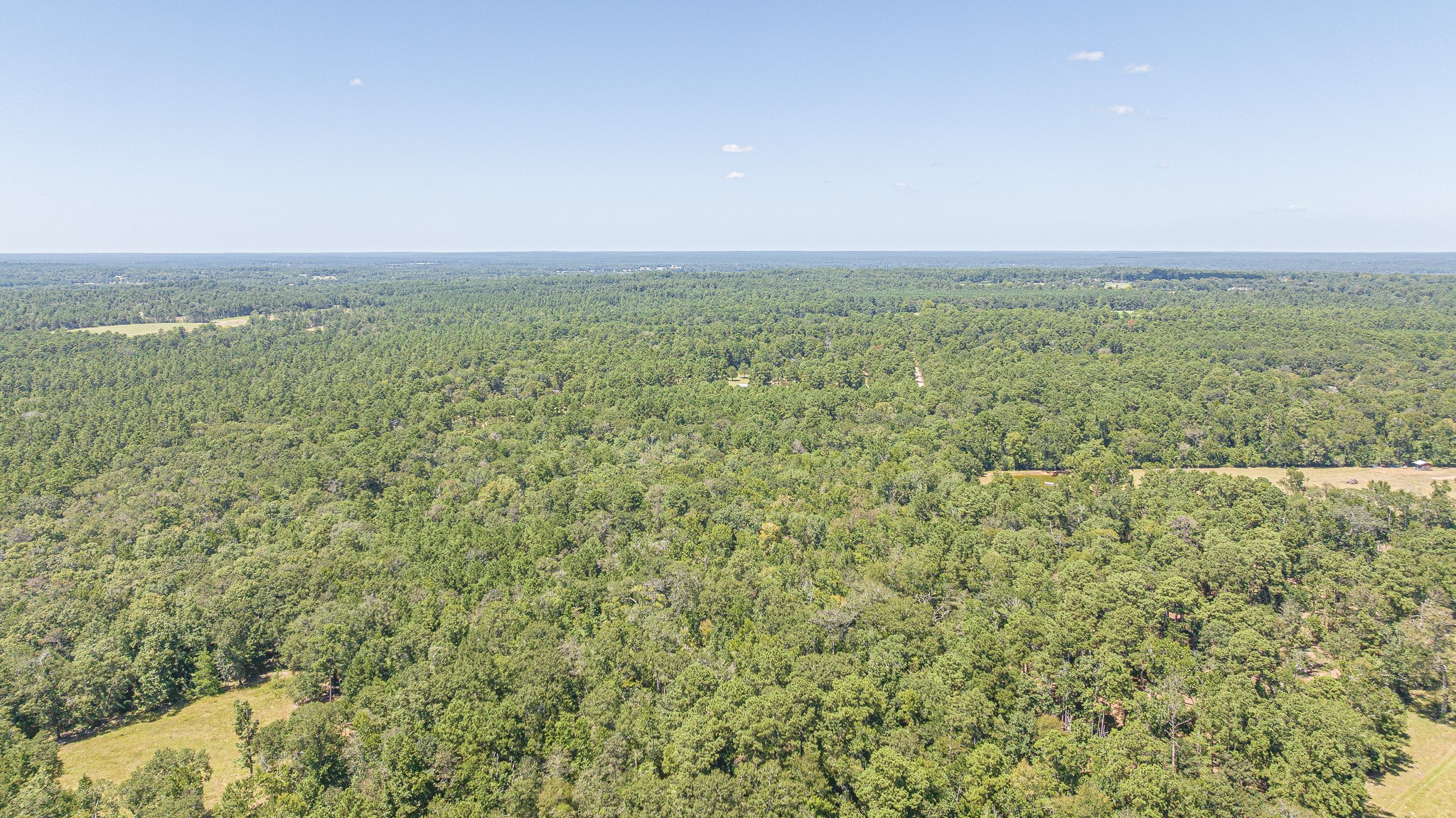 1400 Hill Road Property Photo 8