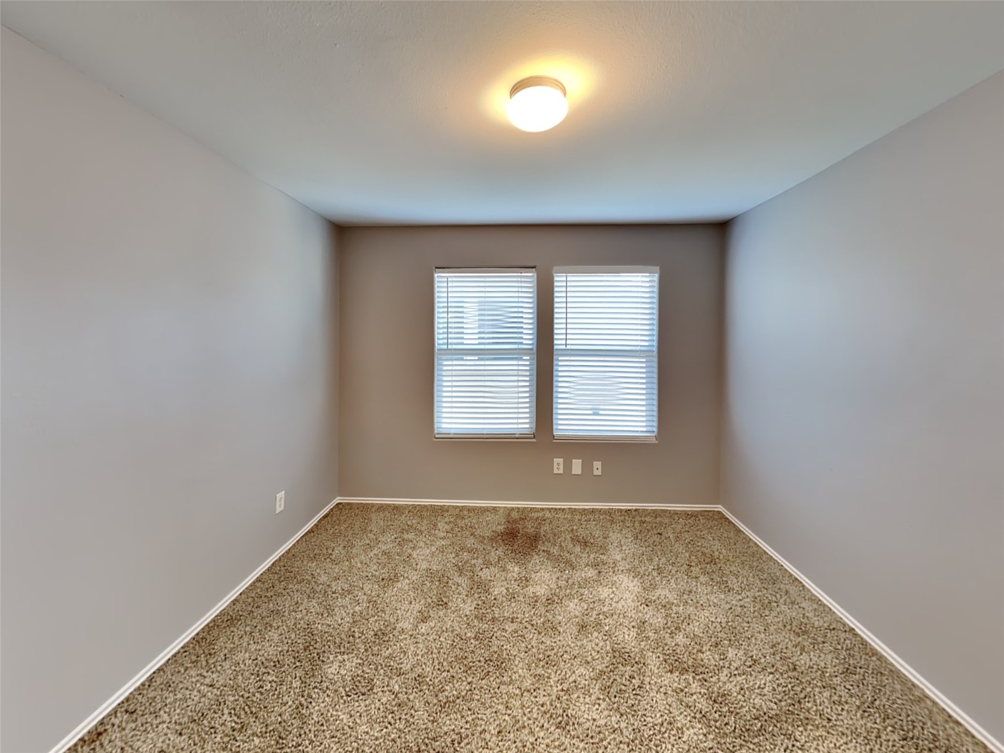 2203 Shady Birch Drive Property Photo 7