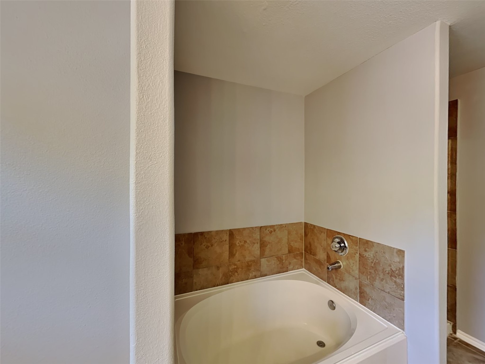 2203 Shady Birch Drive Property Photo 11