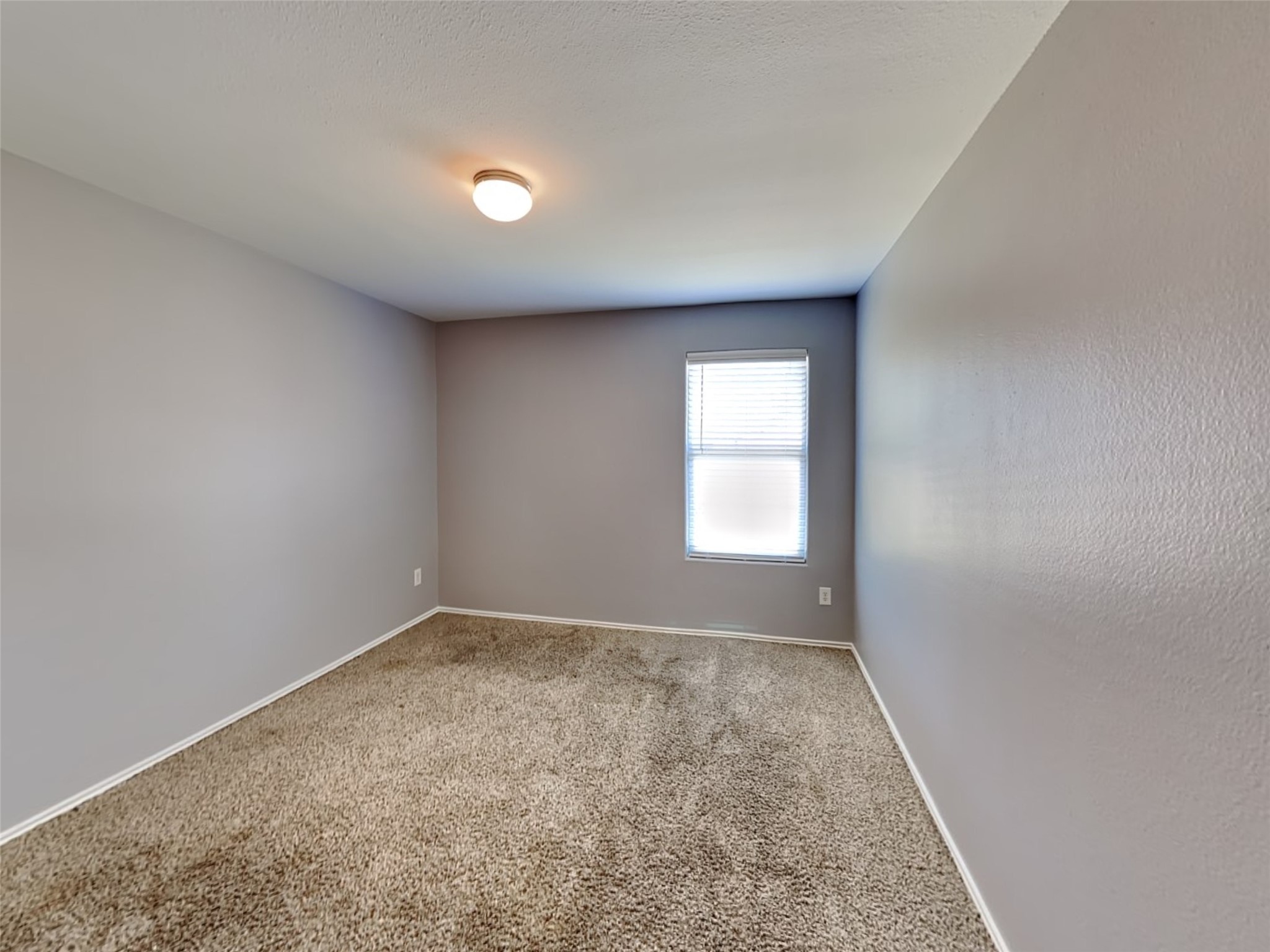 2203 Shady Birch Drive Property Photo 18