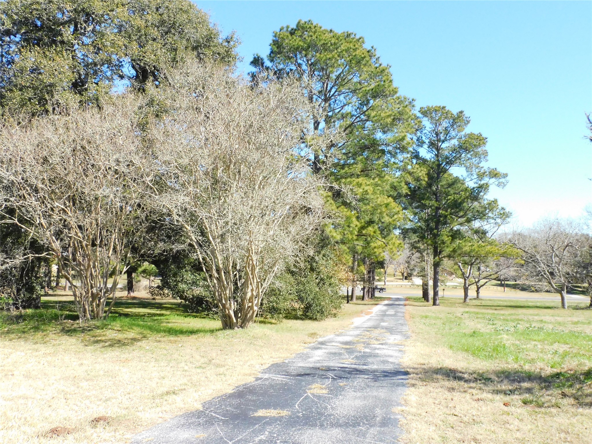 2408 Gun And Rod Road Property Photo 4