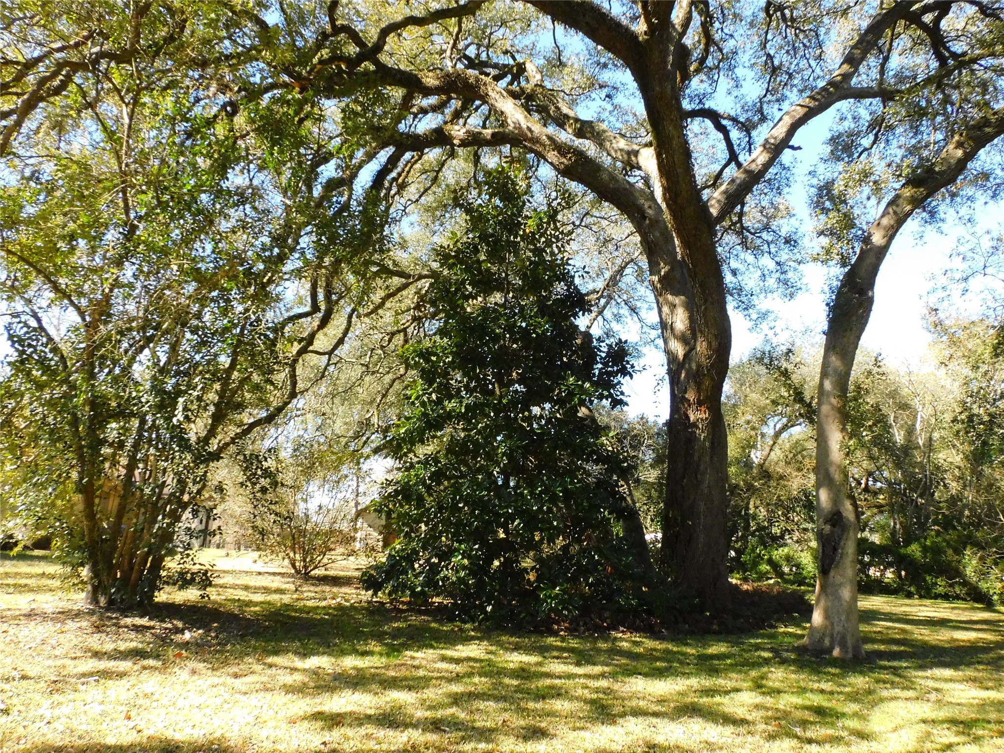 2408 Gun And Rod Road Property Photo 6