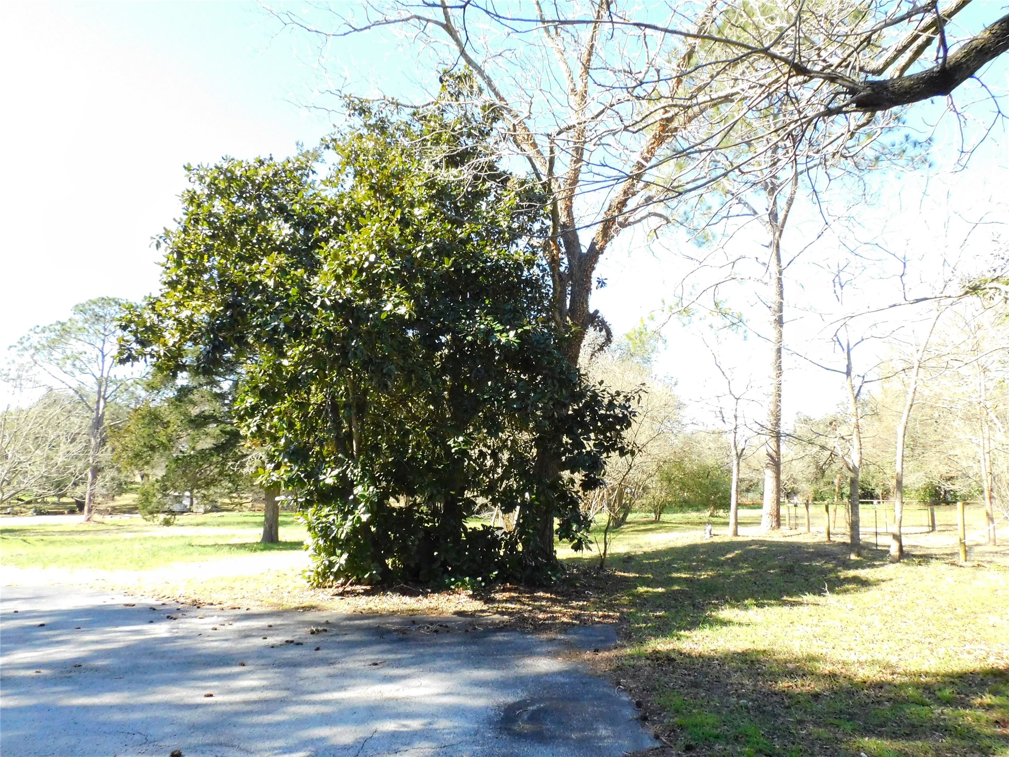 2408 Gun And Rod Road Property Photo 13