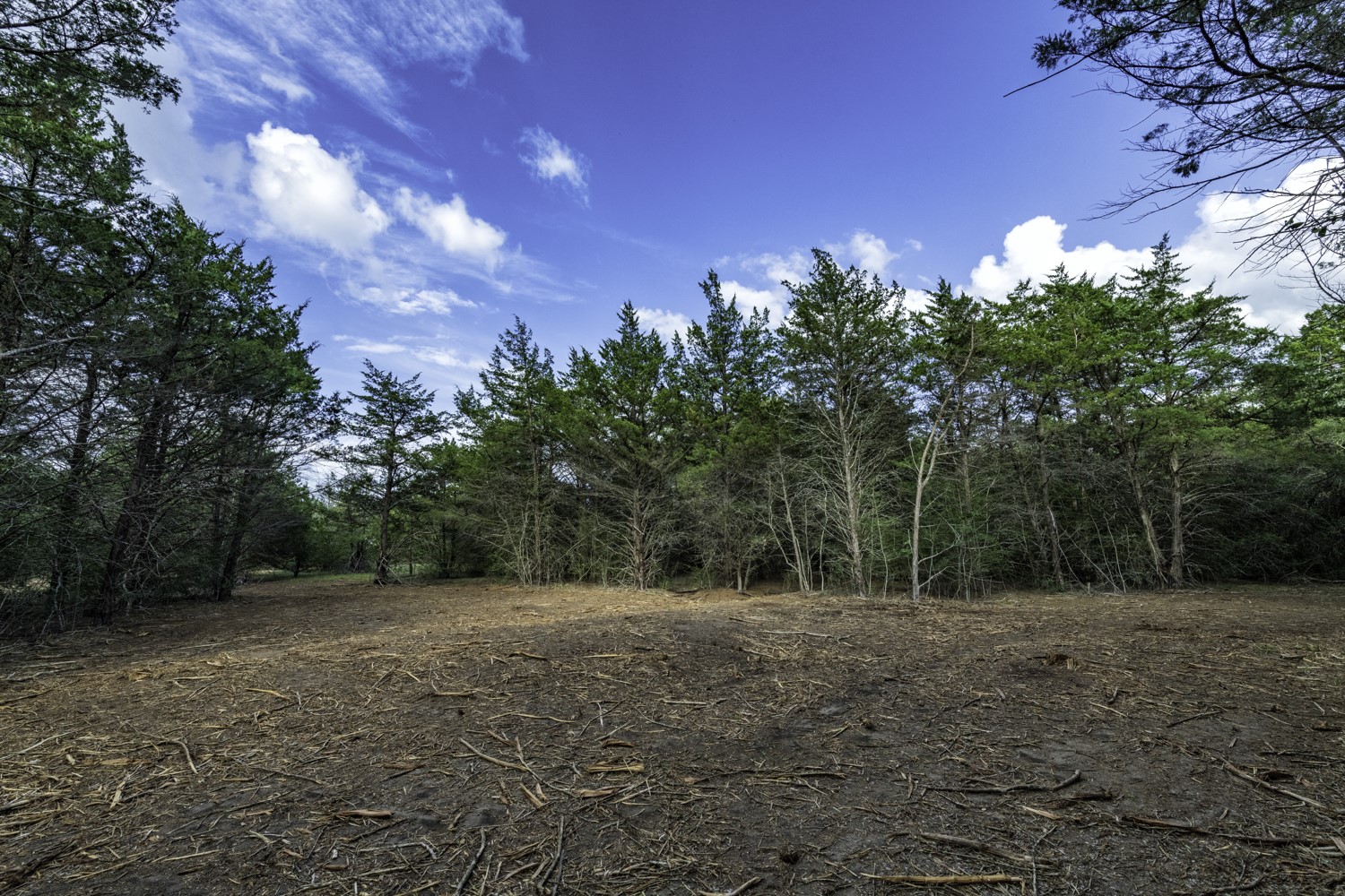 405 Vineyard View Trail - Lot 5 Property Photo 1