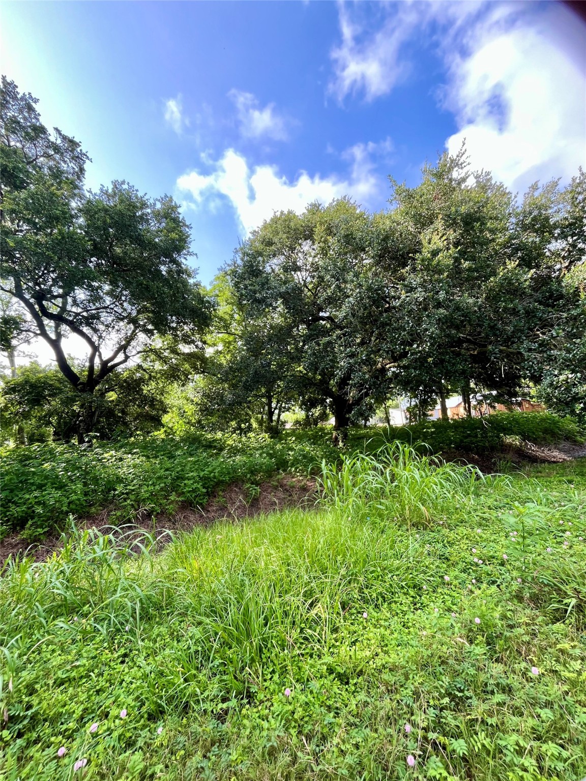 0 Ave G Property Photo 1