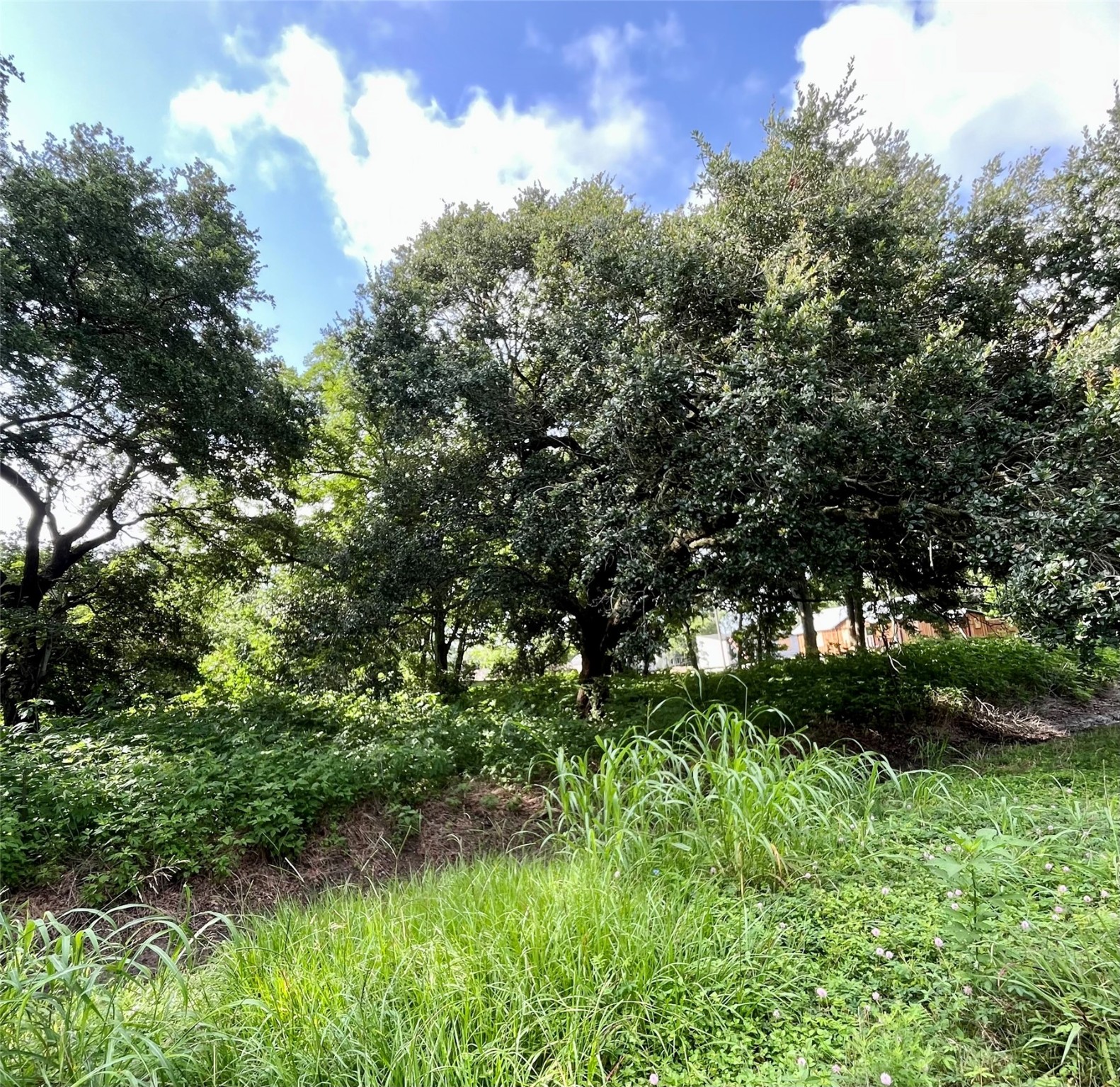 0 Ave G Property Photo 2