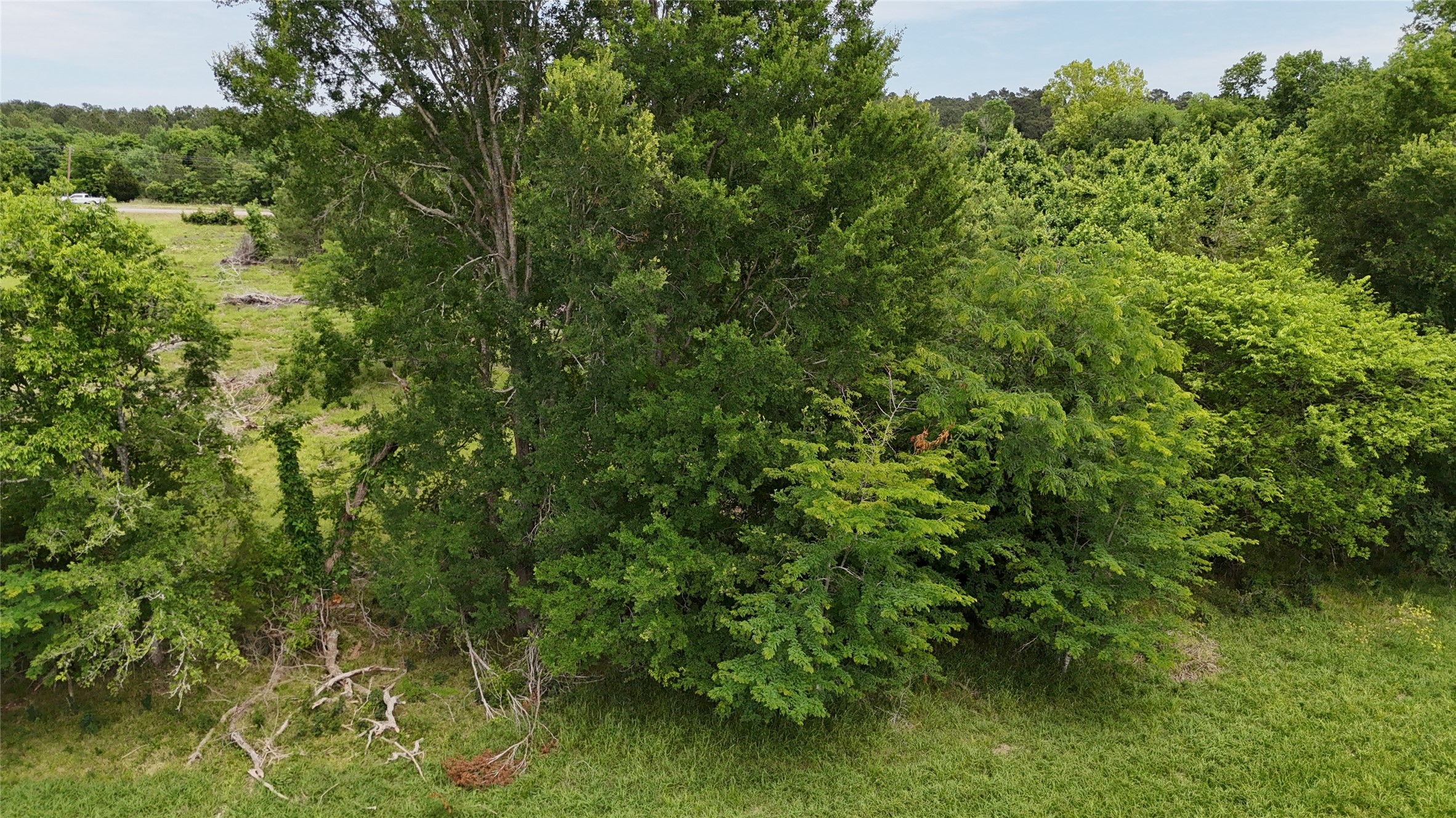 Tbd Us Highway 59 S Property Photo 3