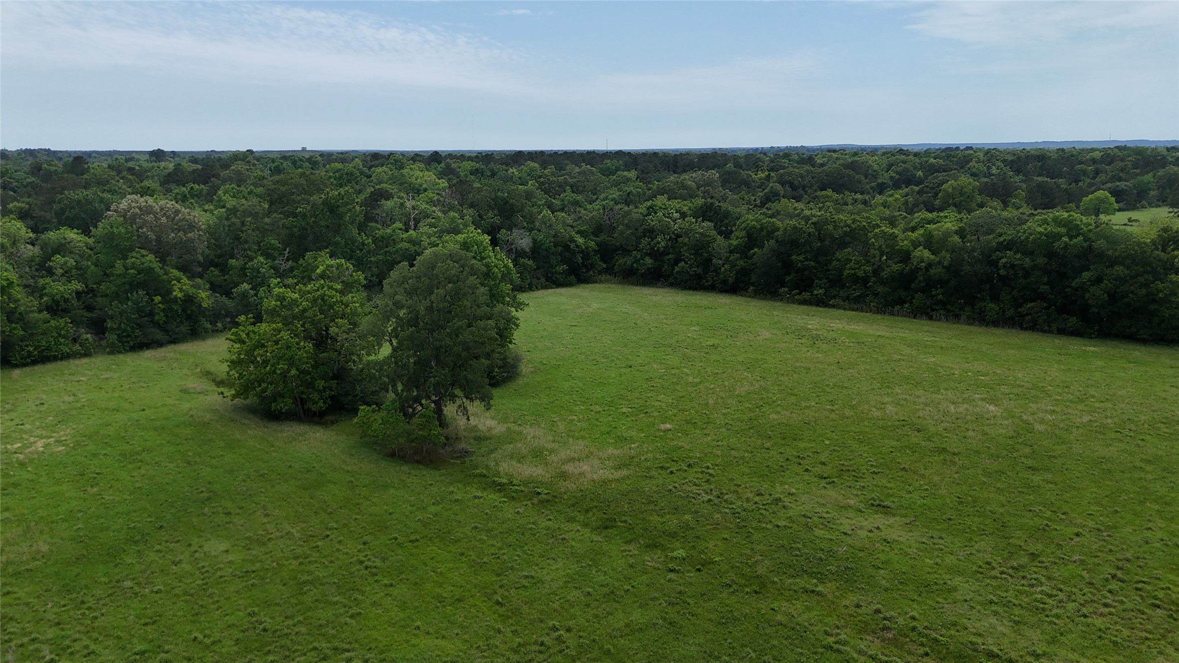 Tbd Us Highway 59 S Property Photo 6