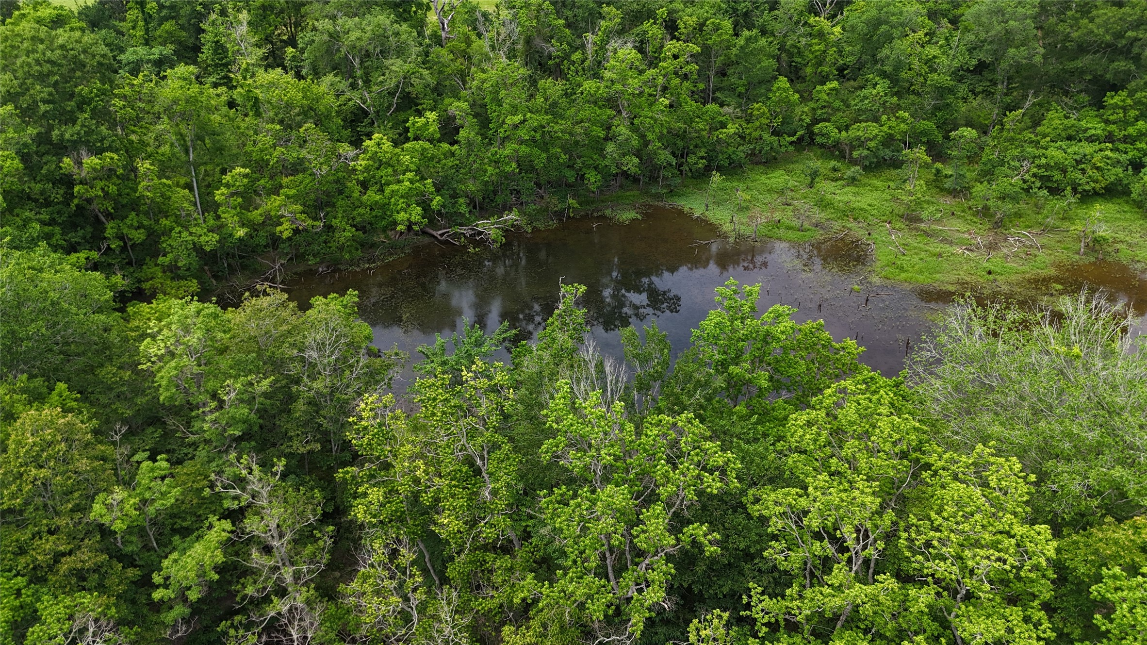 Tbd Us Highway 59 S Property Photo 12