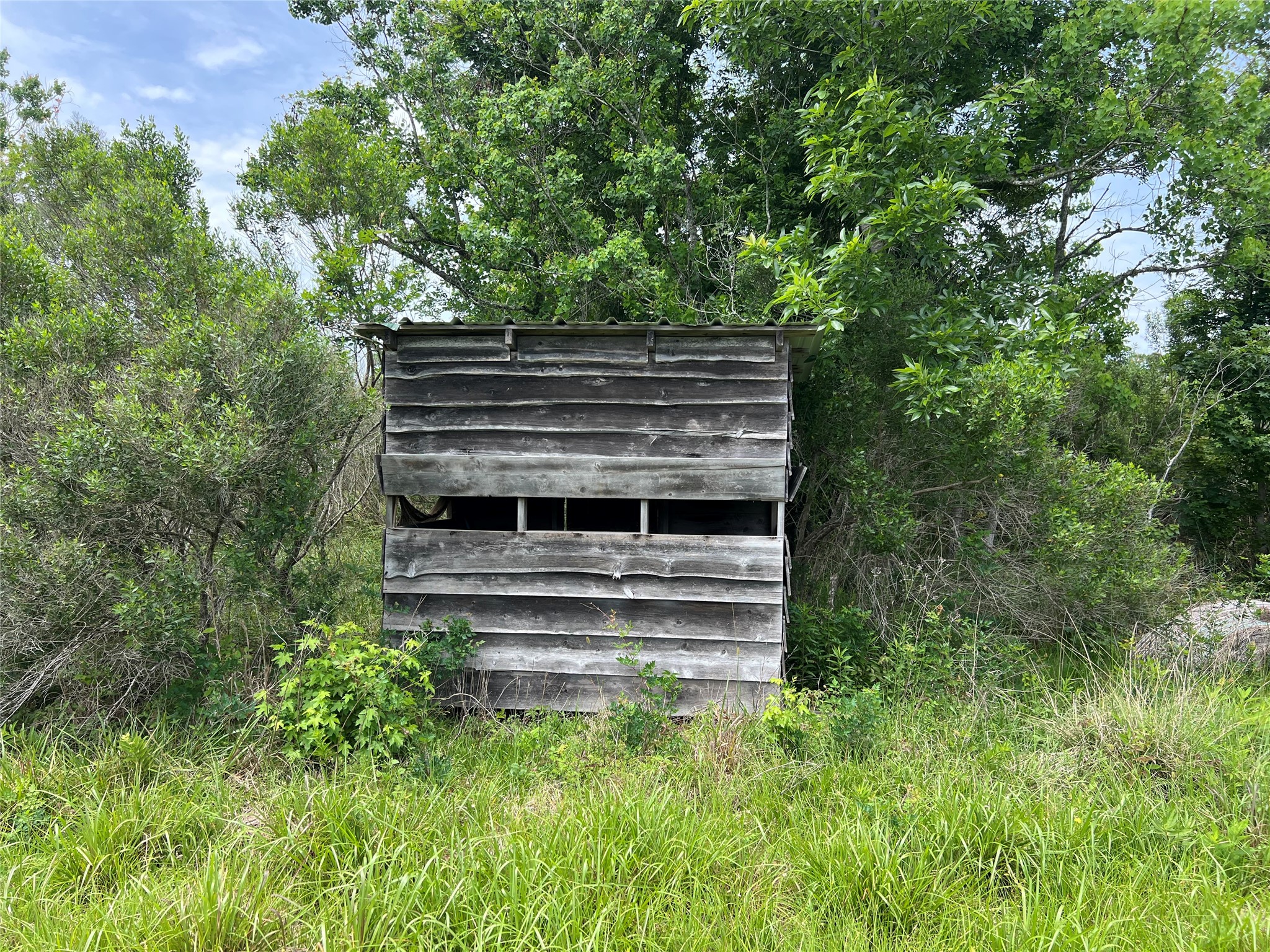 Tbd Us Highway 59 S Property Photo 16