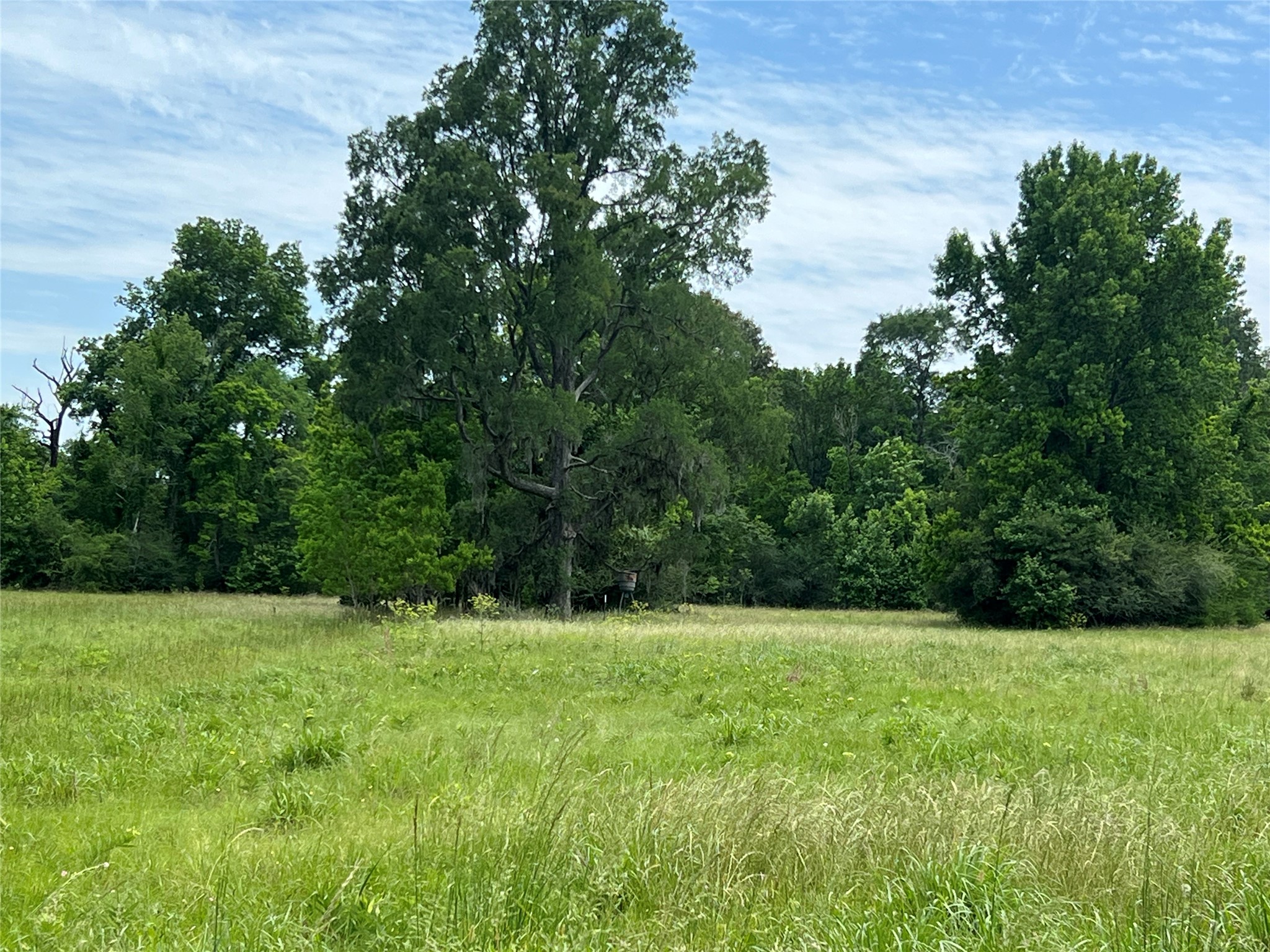 Tbd Us Highway 59 S Property Photo 18