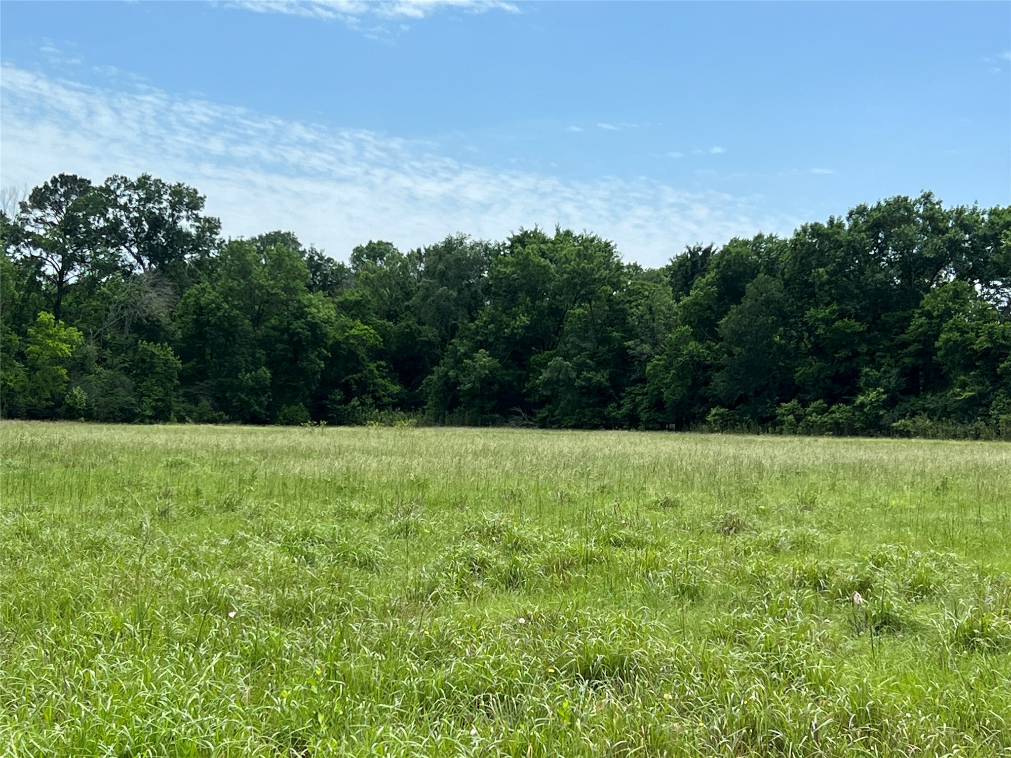Tbd Us Highway 59 S Property Photo 19
