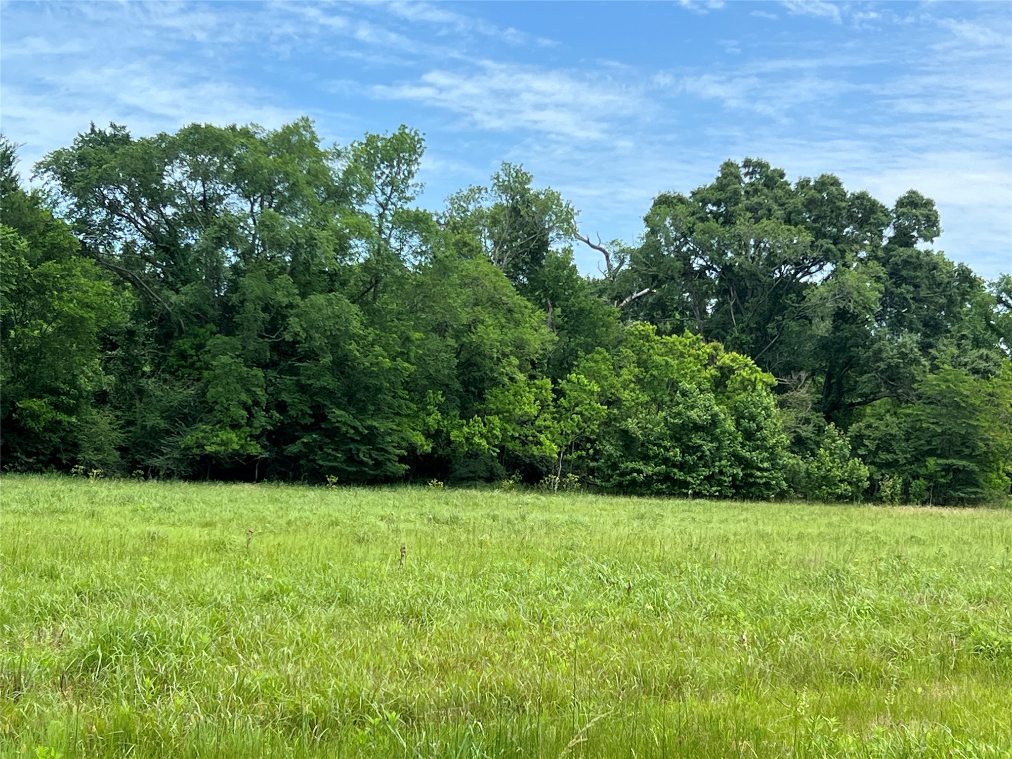 Tbd Us Highway 59 S Property Photo 20