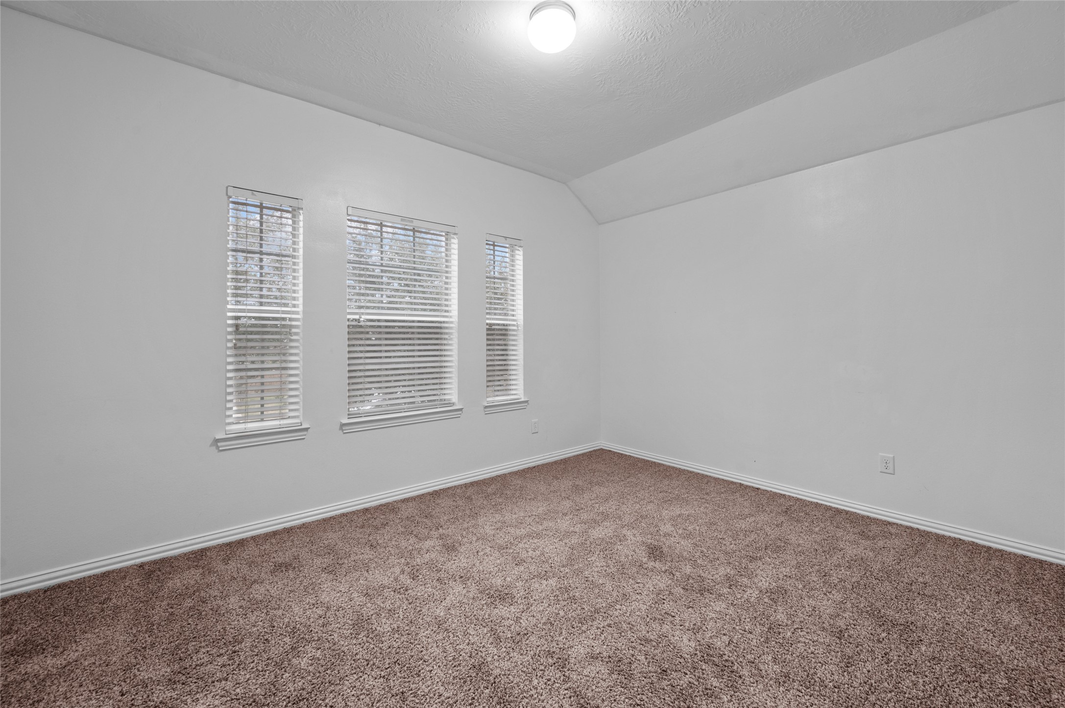 1505 Meadow Wood Drive Property Photo 18
