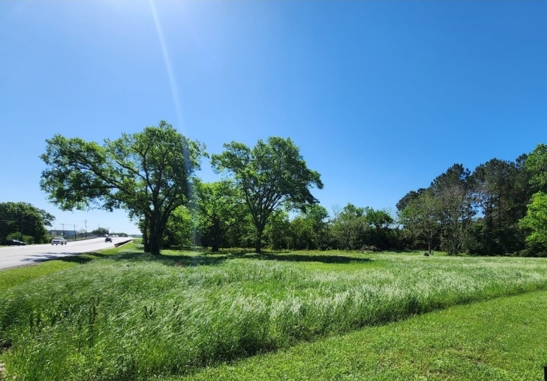 .79 Ac Bus Hwy 290 Property Photo 2