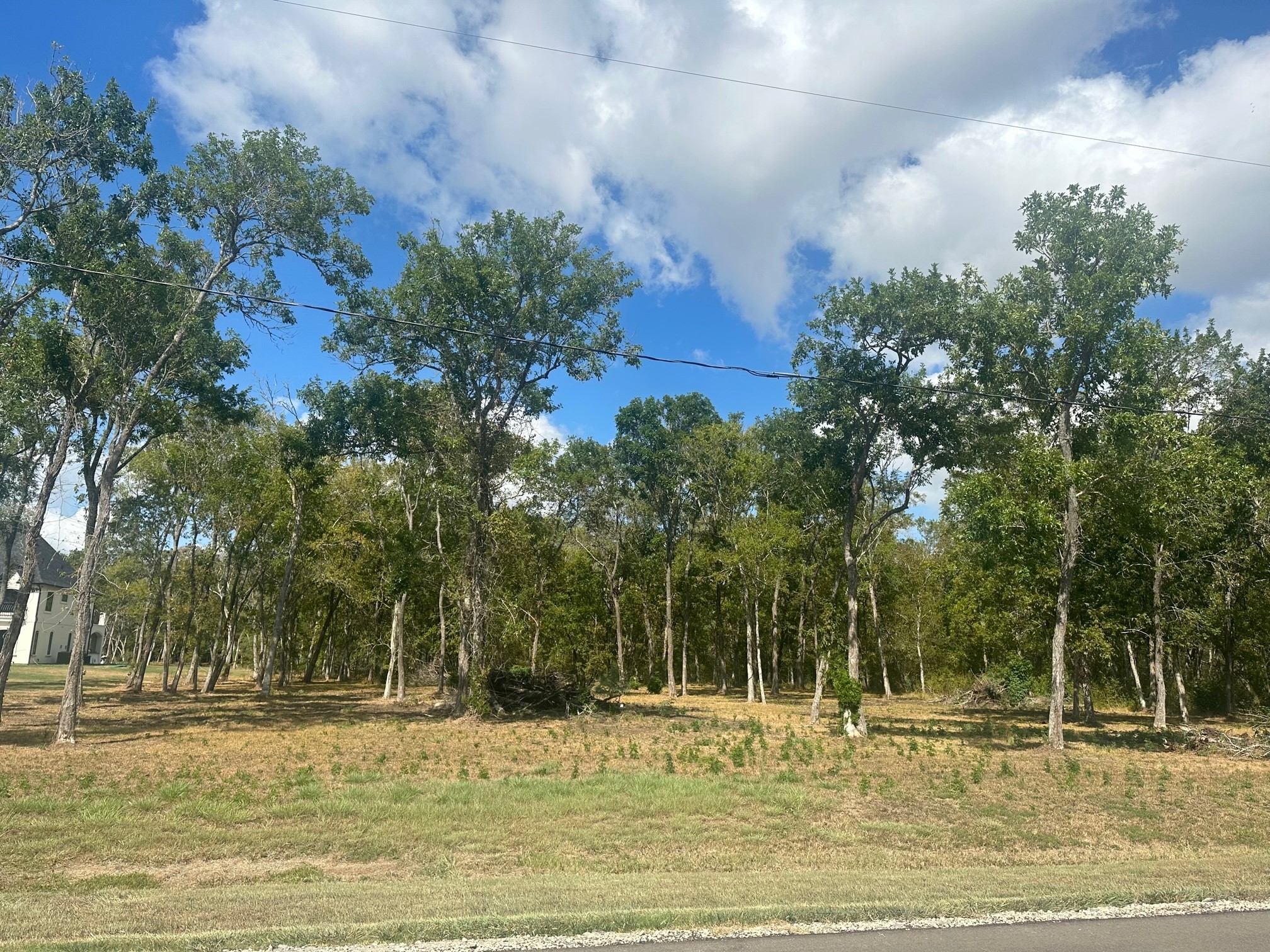 33610 Blue Marlin Drive Property Photo 4