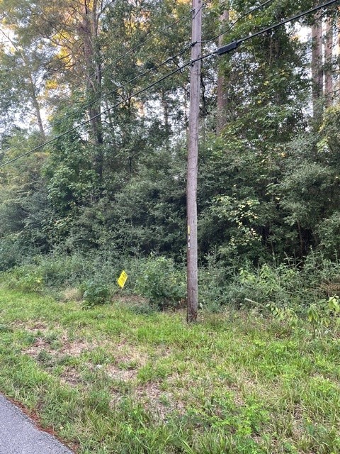 Tbd .51 Ac Pecan Dr Property Photo 1