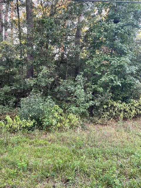 Tbd .51 Ac Pecan Dr Property Photo 2