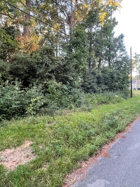 Tbd .51 Ac Pecan Dr Property Photo 3