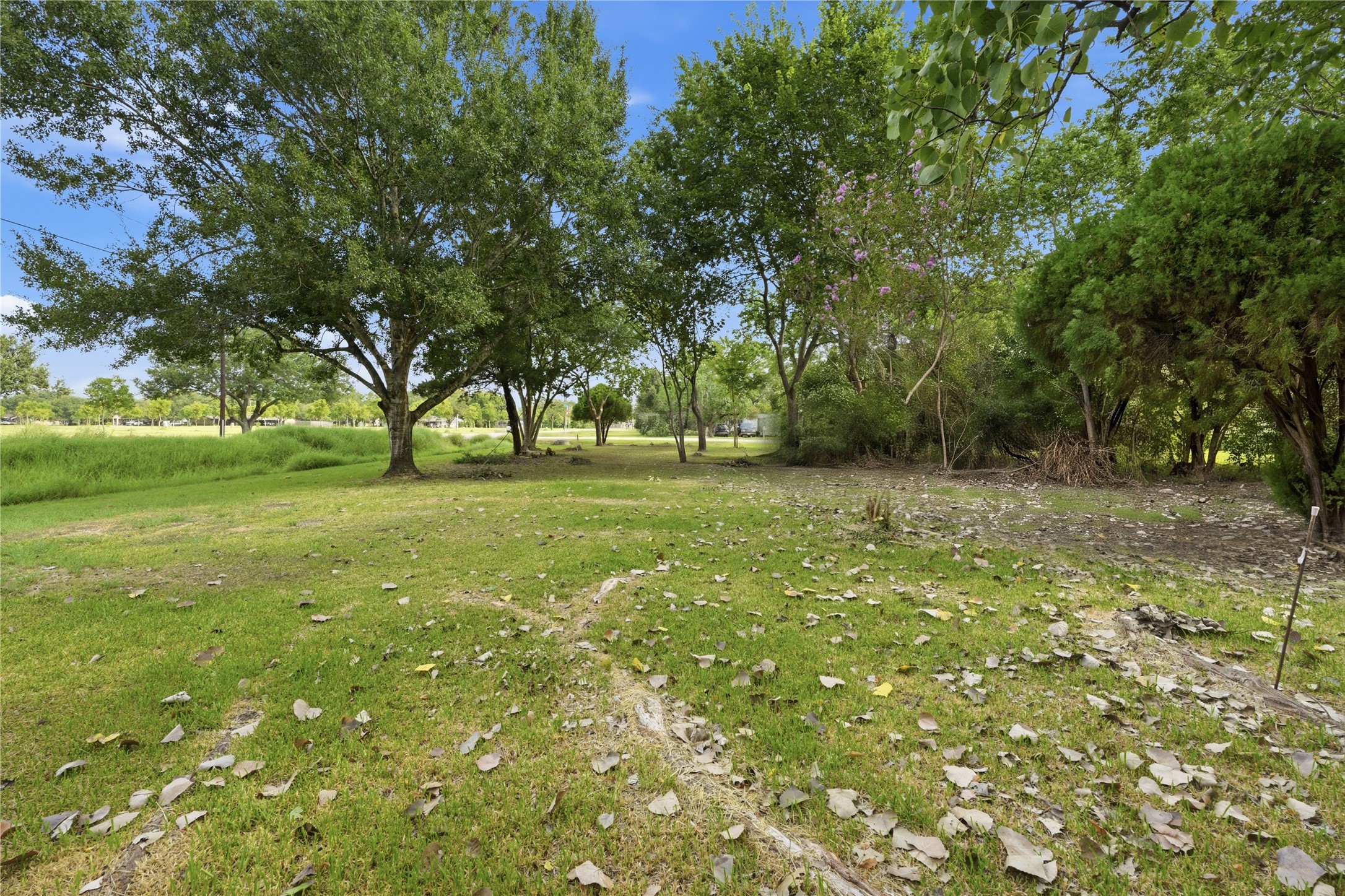 6102 Silver Drive Property Photo 4