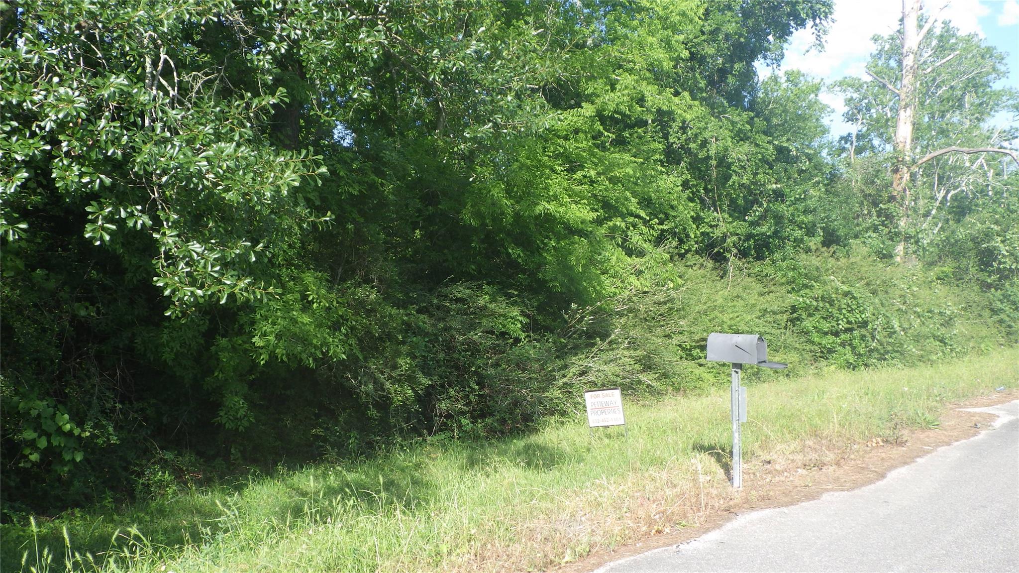 630 Fm 2917 Road, Alvin Tx 77511 Property Photo 5