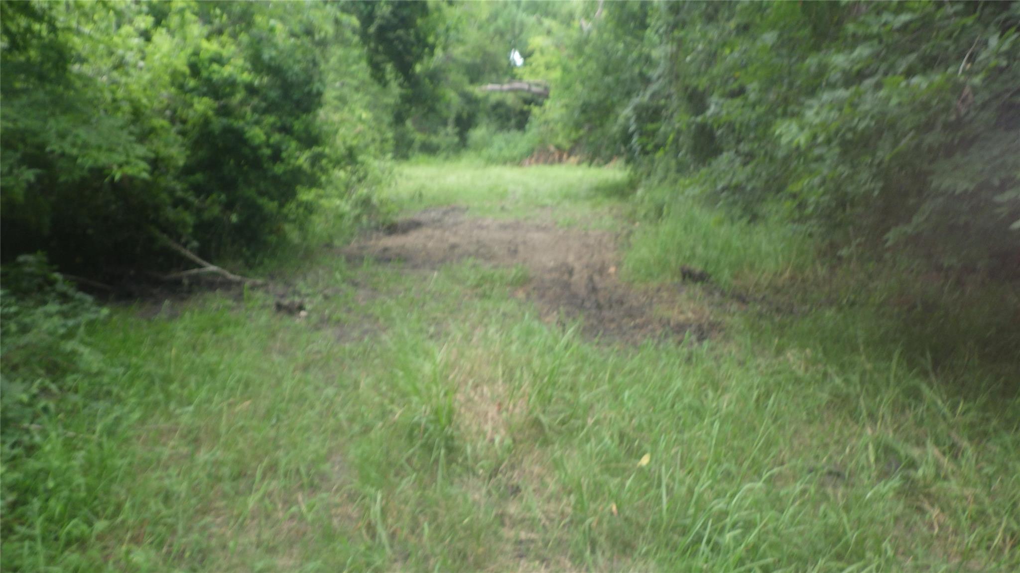 630 Fm 2917 Road, Alvin Tx 77511 Property Photo 7
