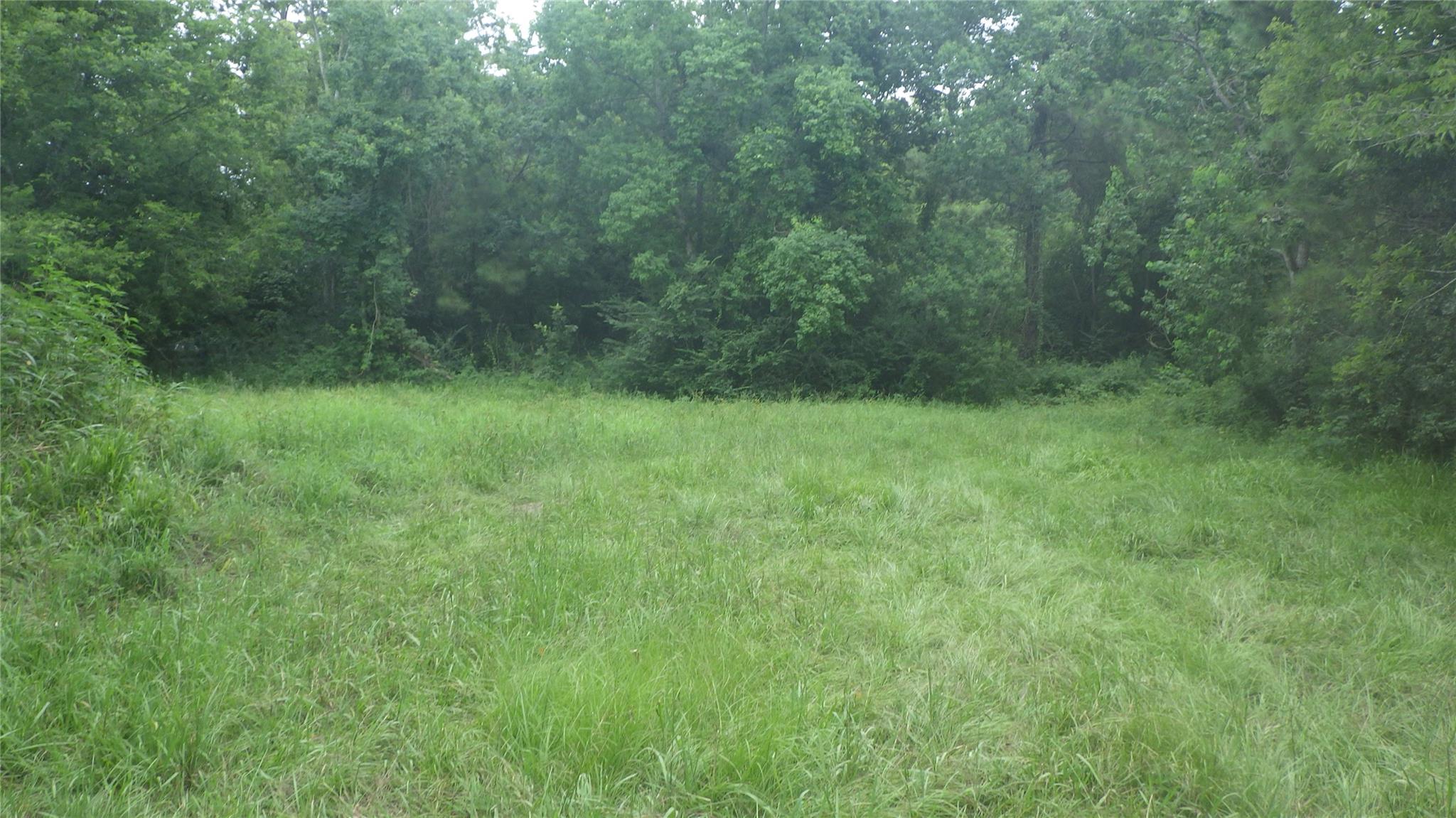 630 Fm 2917 Road, Alvin Tx 77511 Property Photo 9