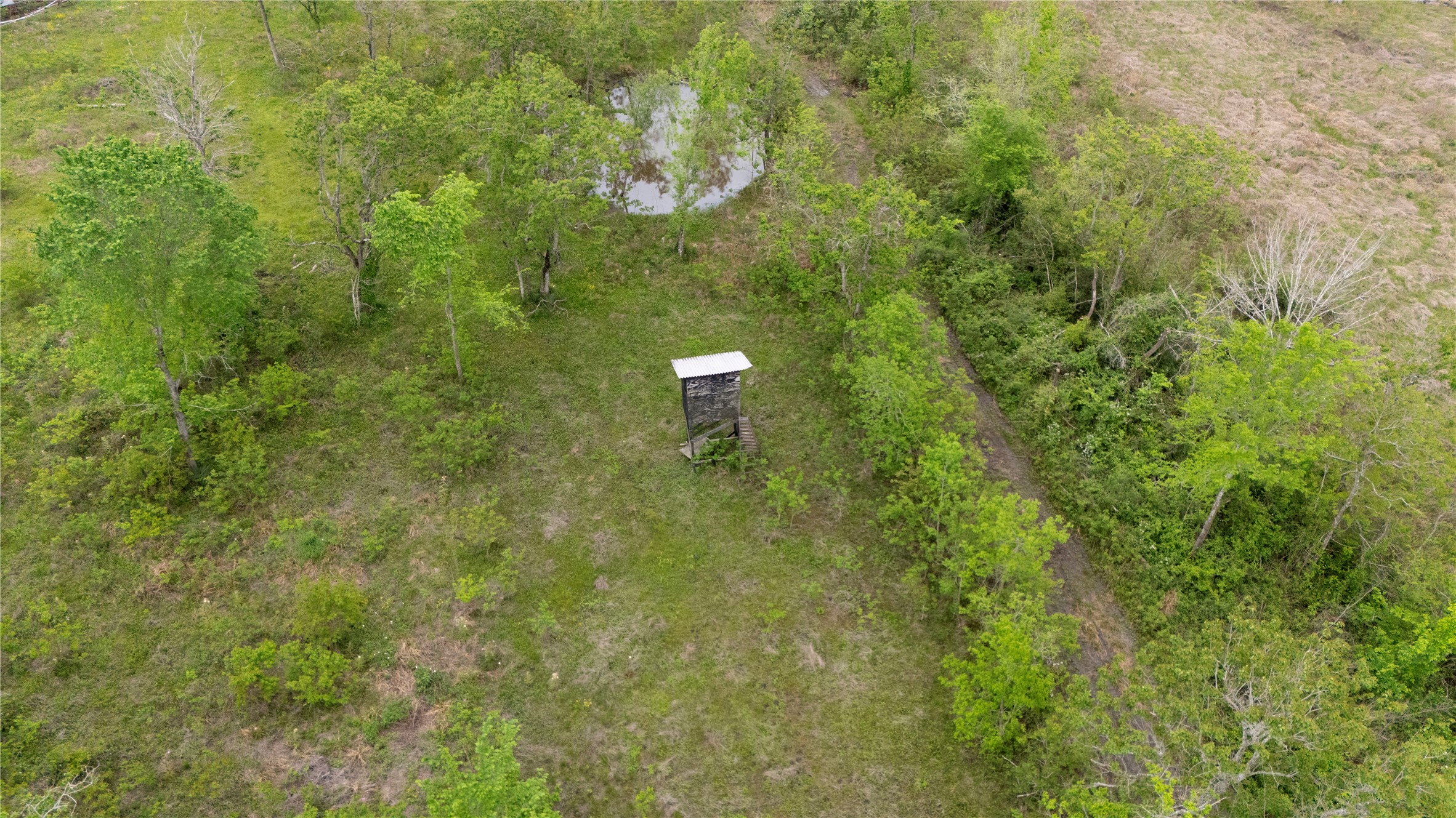 159 Private Road 489 Property Photo 8