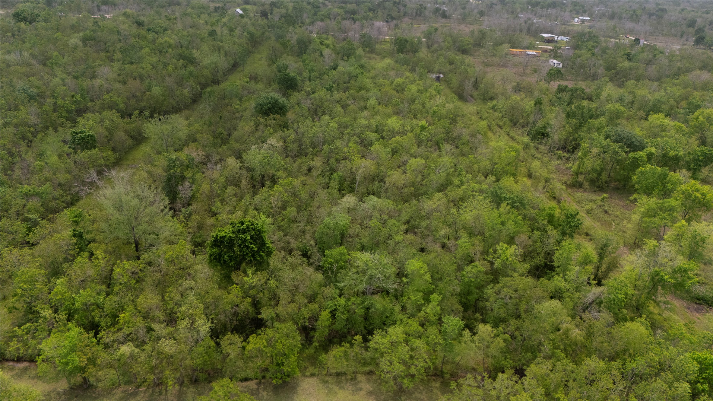159 Private Road 489 Property Photo 11