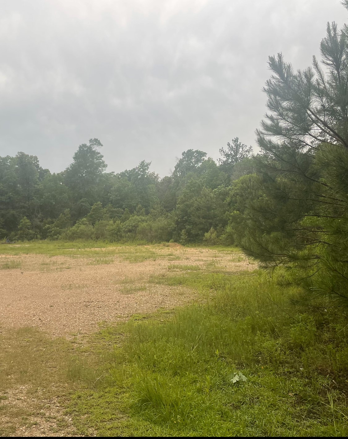 000 Towering Pines Property Photo 1